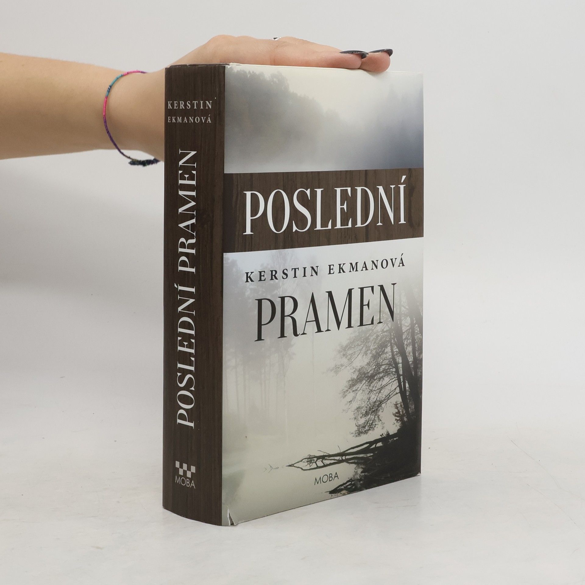 Kerstin Ekman Poslední pramen