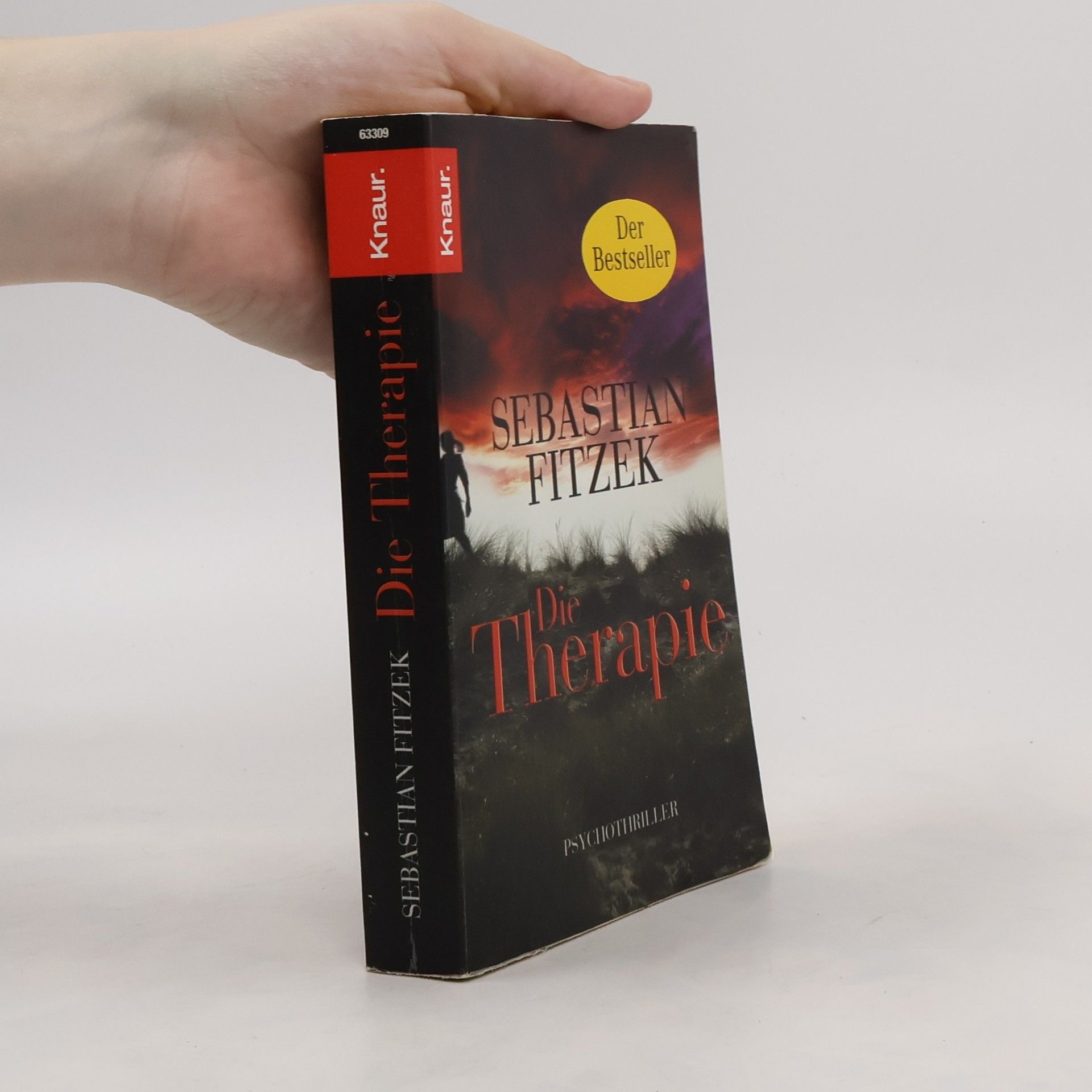 Sebastian Fitzek Die Therapie
