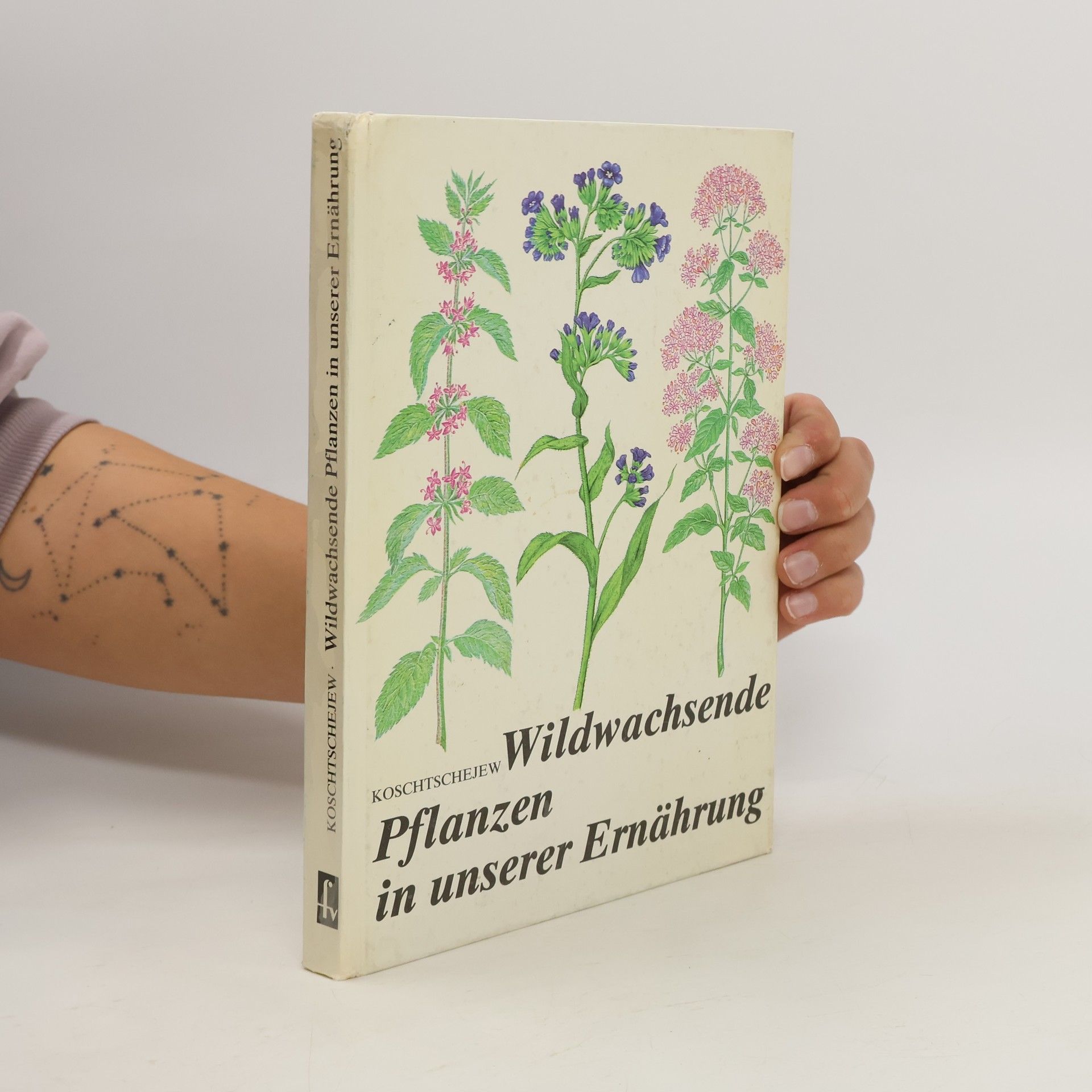 Arkadij K. Koščeev Wildwachsende Pflanzen in unserer Ernährung