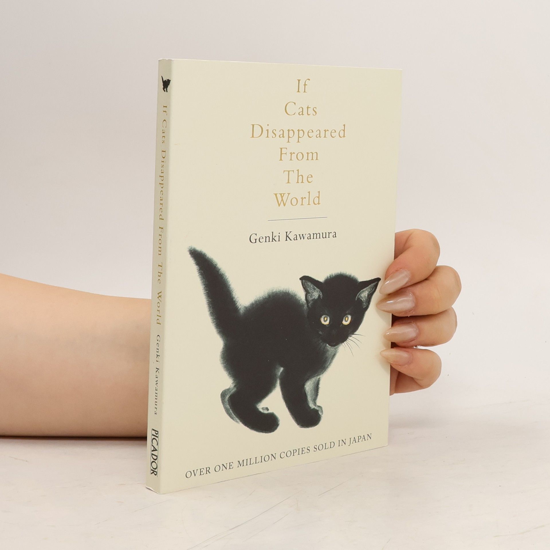 Genki Kawamura If Cats Disappeared from the World