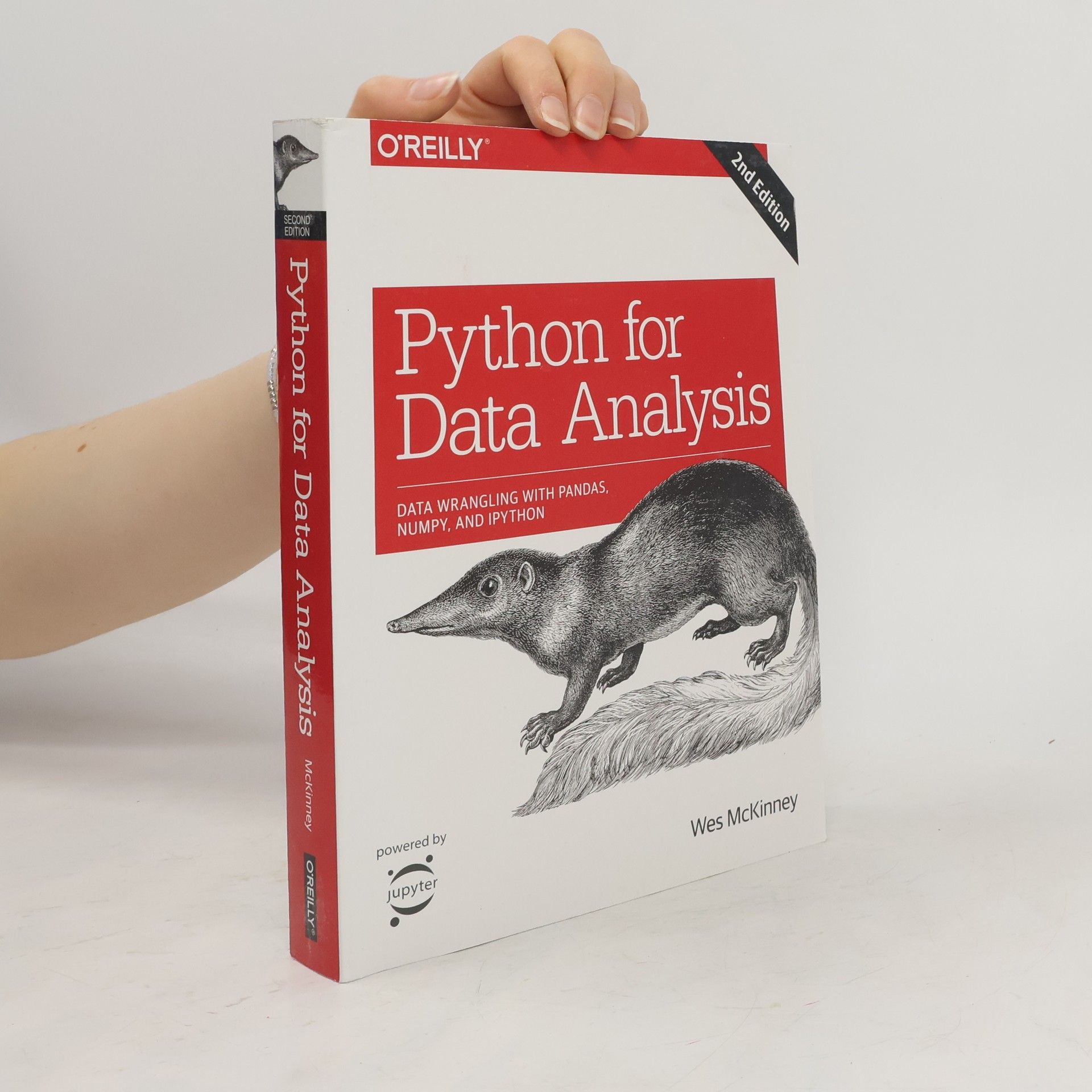 Wes McKinney Python for Data Analysis