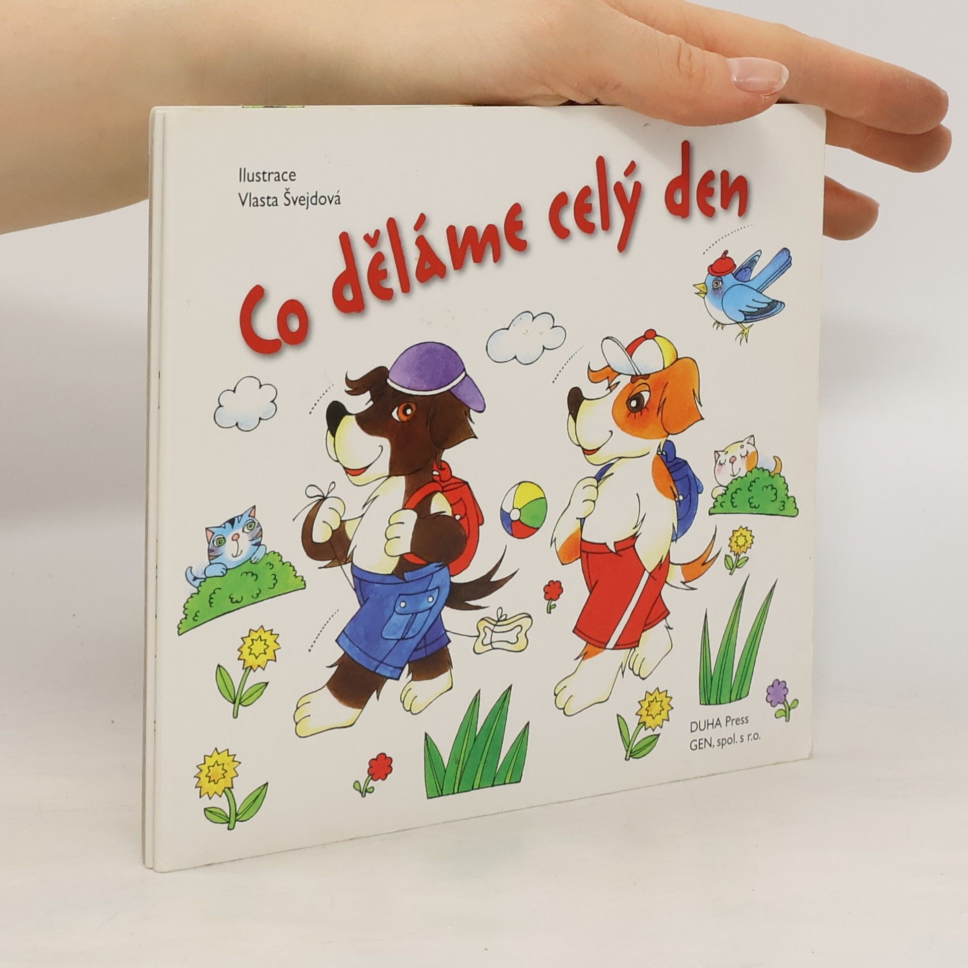 Vlasta Švejdová Co děláme celý den