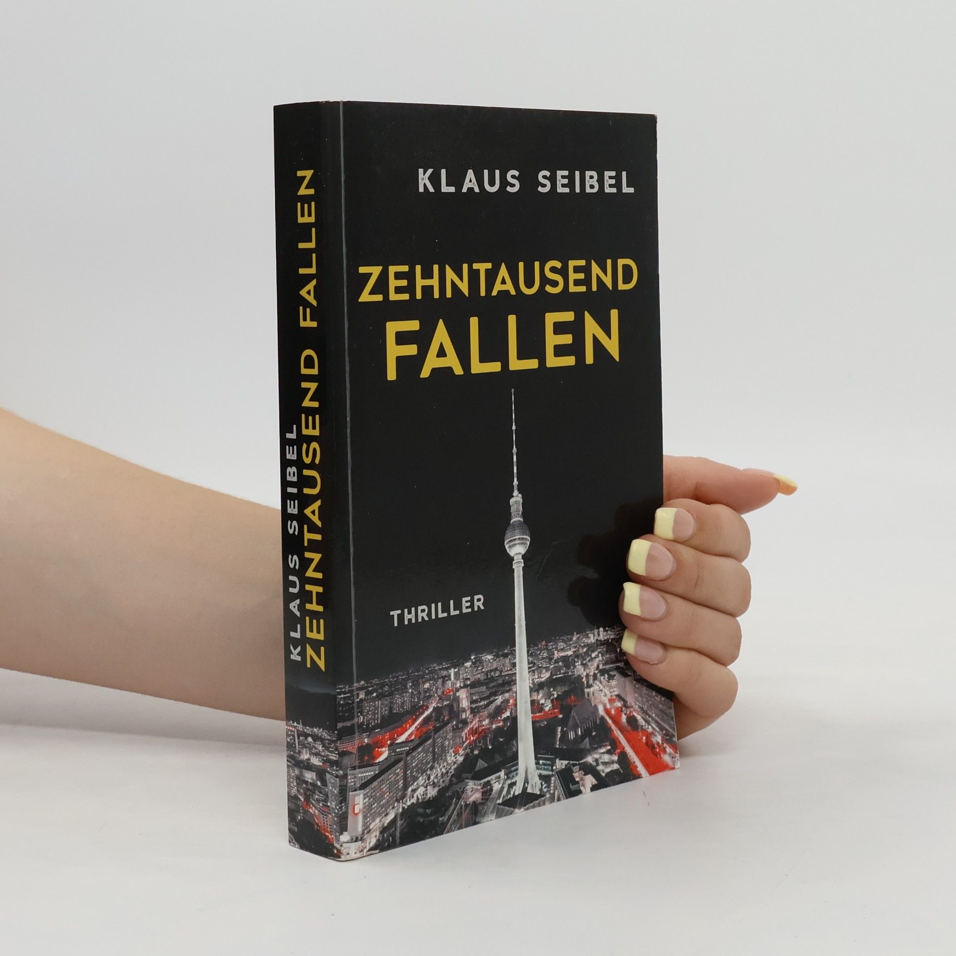 Klaus Seibel Zehntausend Fallen