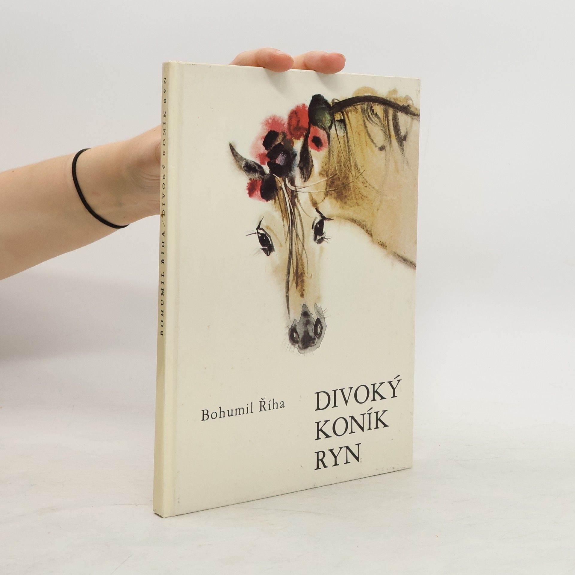 Bohumil Říha Divoký koník Ryn