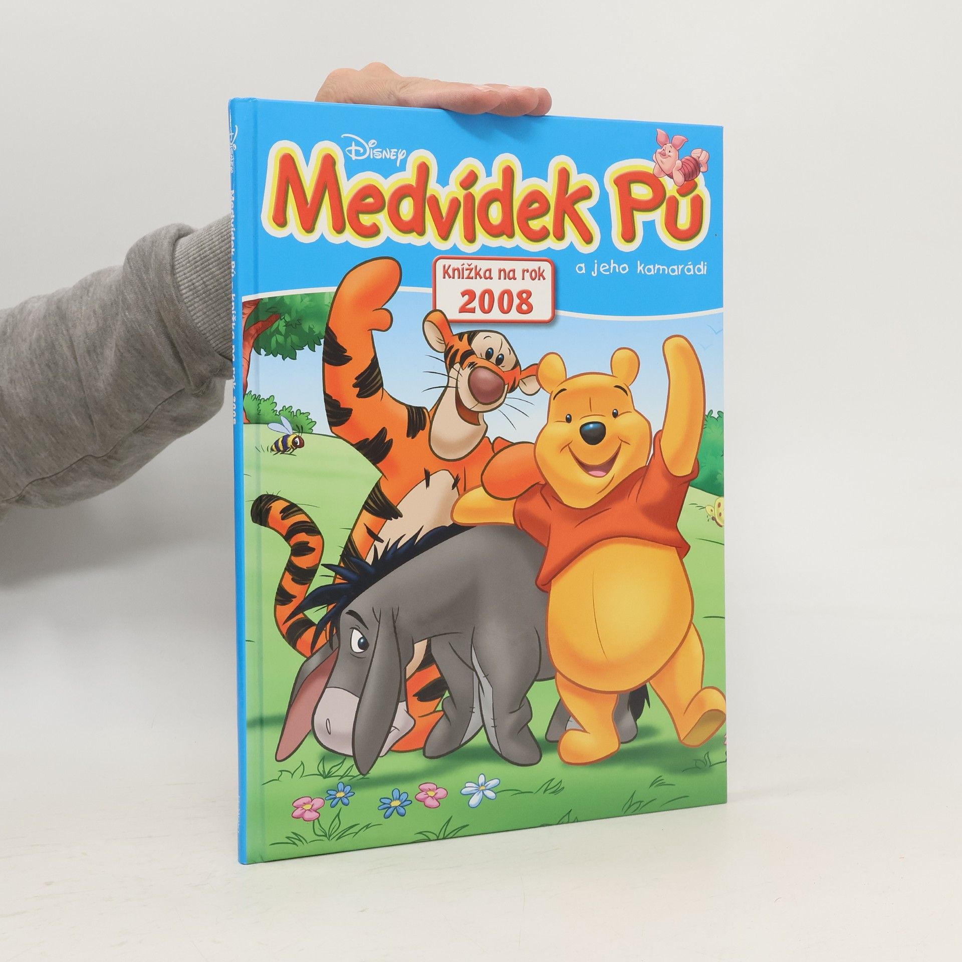 kolektiv Medvídek Pú a jeho kamarádi : knížka na rok 2008