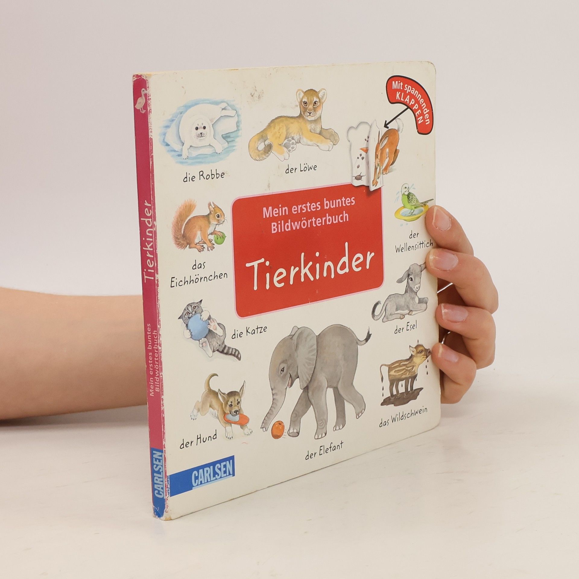 Christine Henkel Mein kleines buntes Bildwörterbuch: Viele Tierkinder