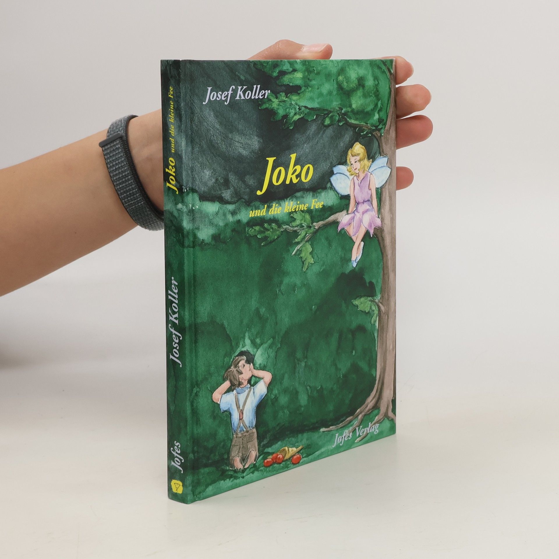 Josef Koller Joko und die kleine Fee