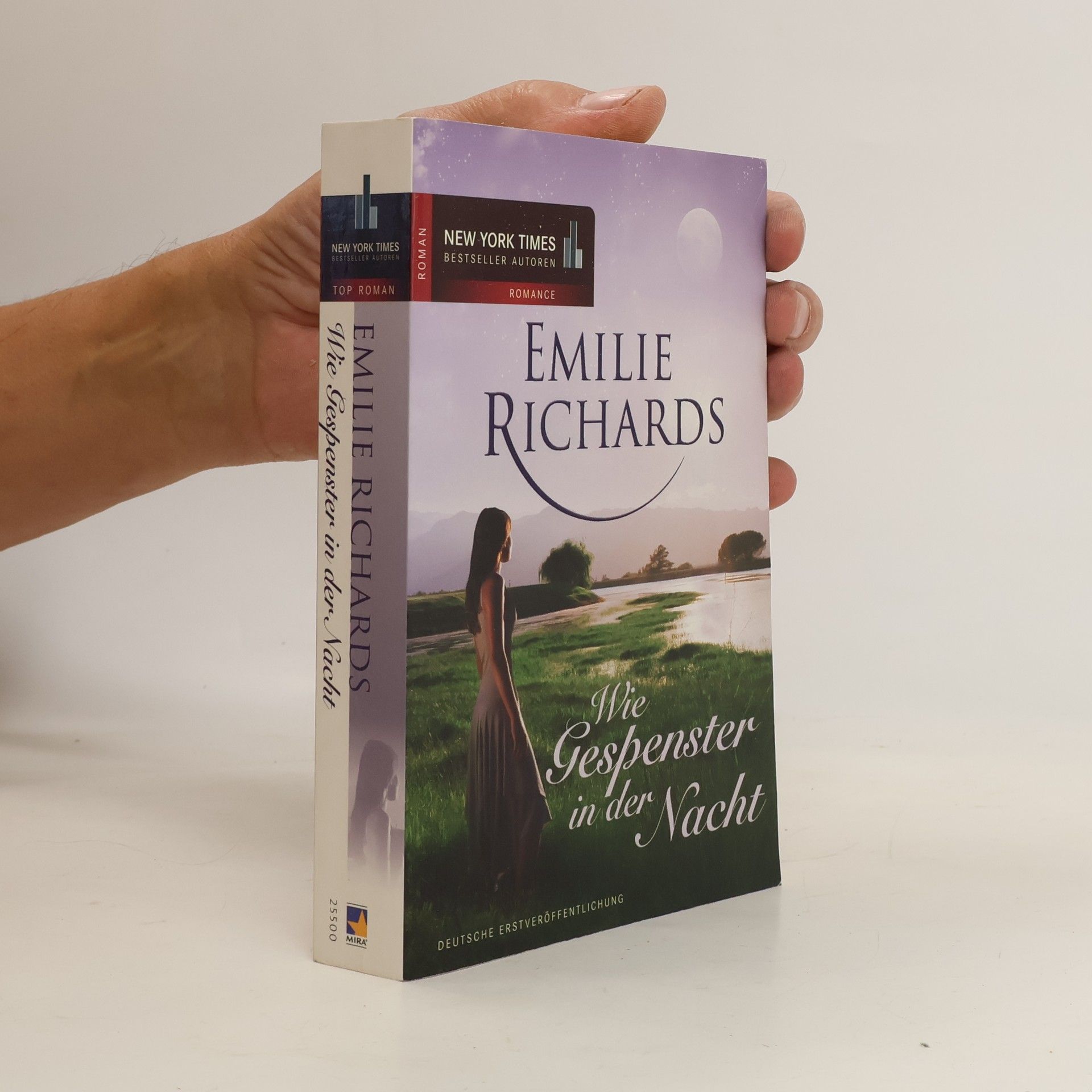 Emilie Richards Wie Gespenster in der Nacht