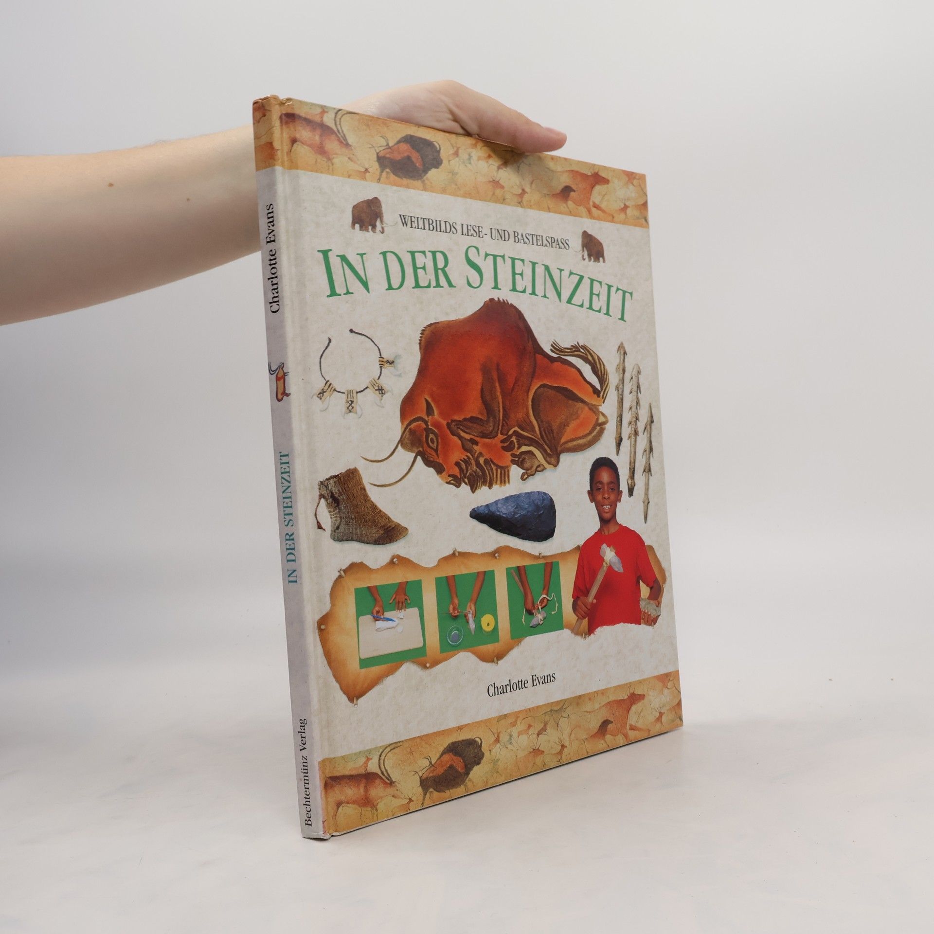 Charlotte Evans In der Steinzeit