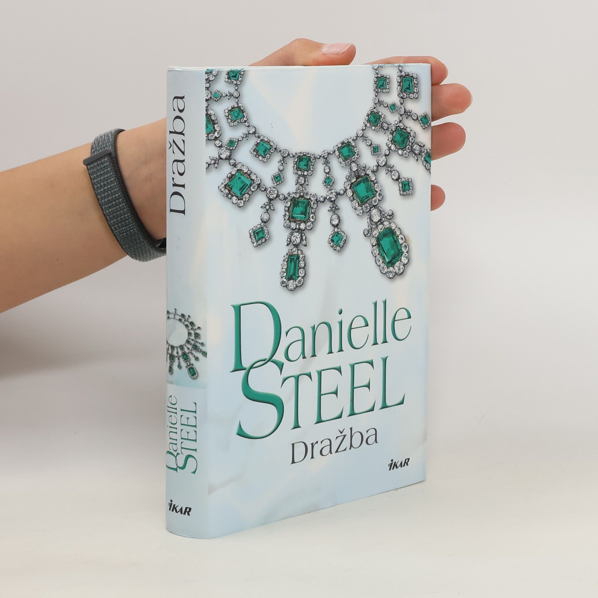 Danielle Steel Dražba