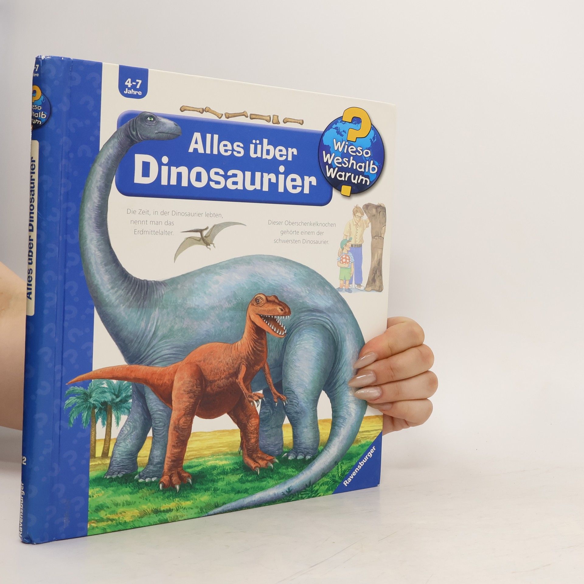 Autorenkollektiv Alles über Dinosaurier