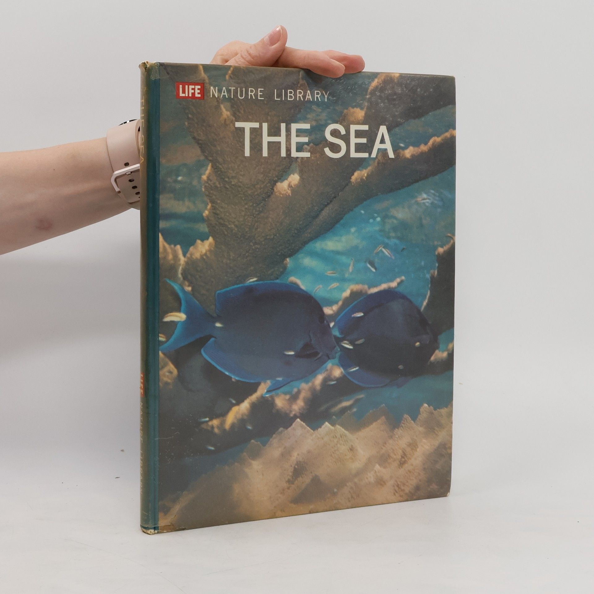 Leonard Engel The Sea