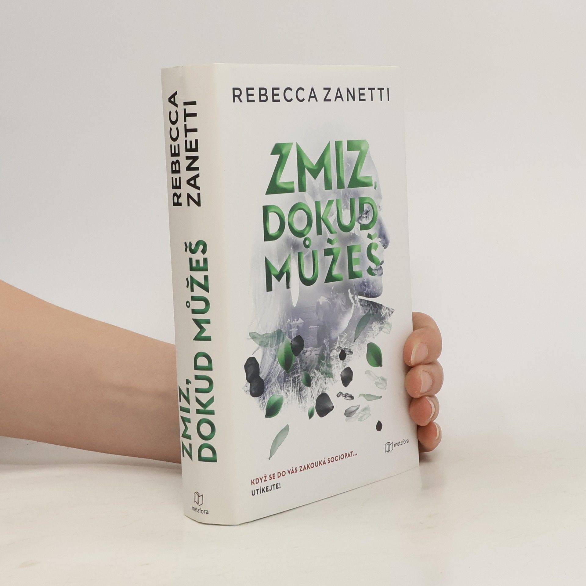 Rebecca Zanetti Zmiz, dokud můžeš