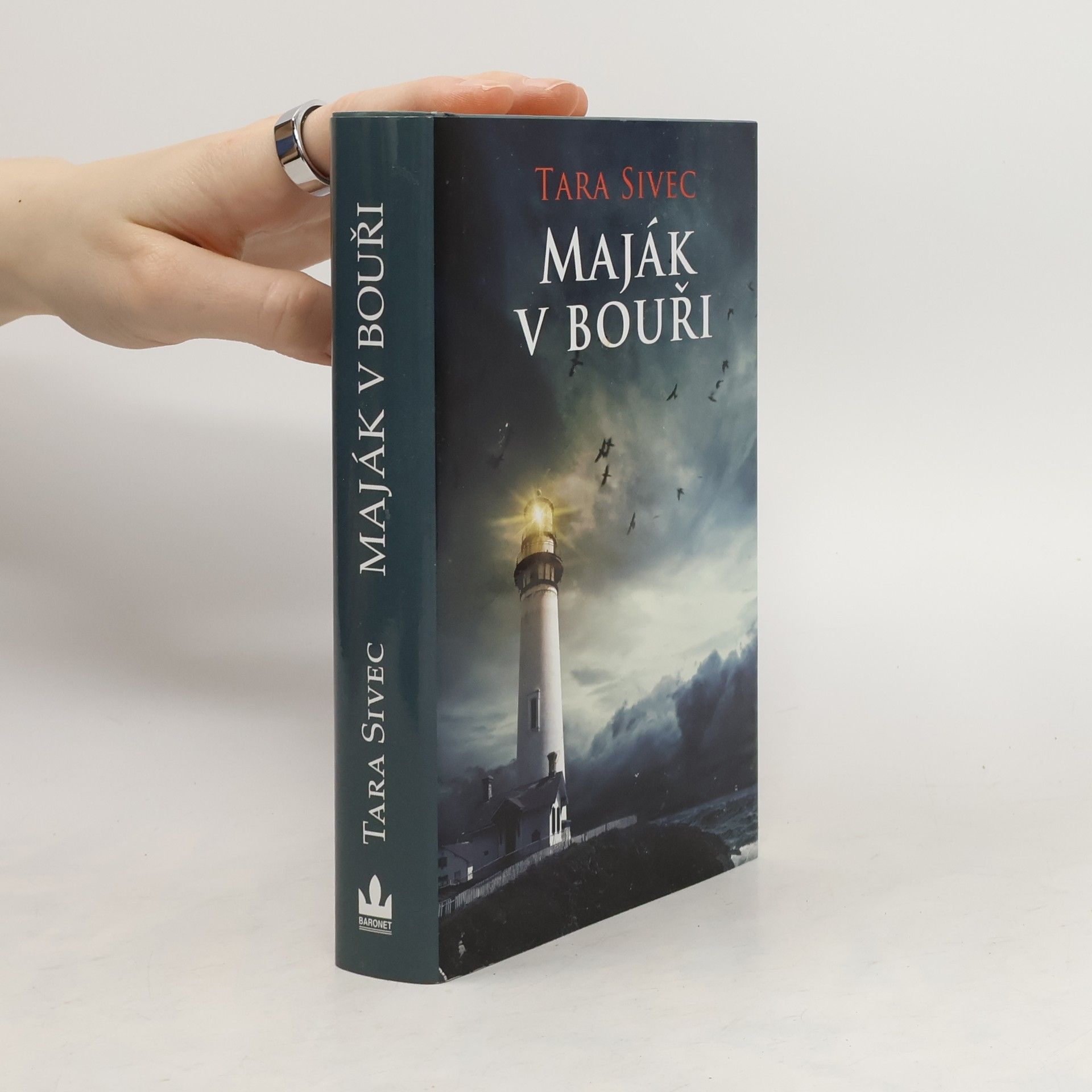 Tara Sivec Maják v bouři
