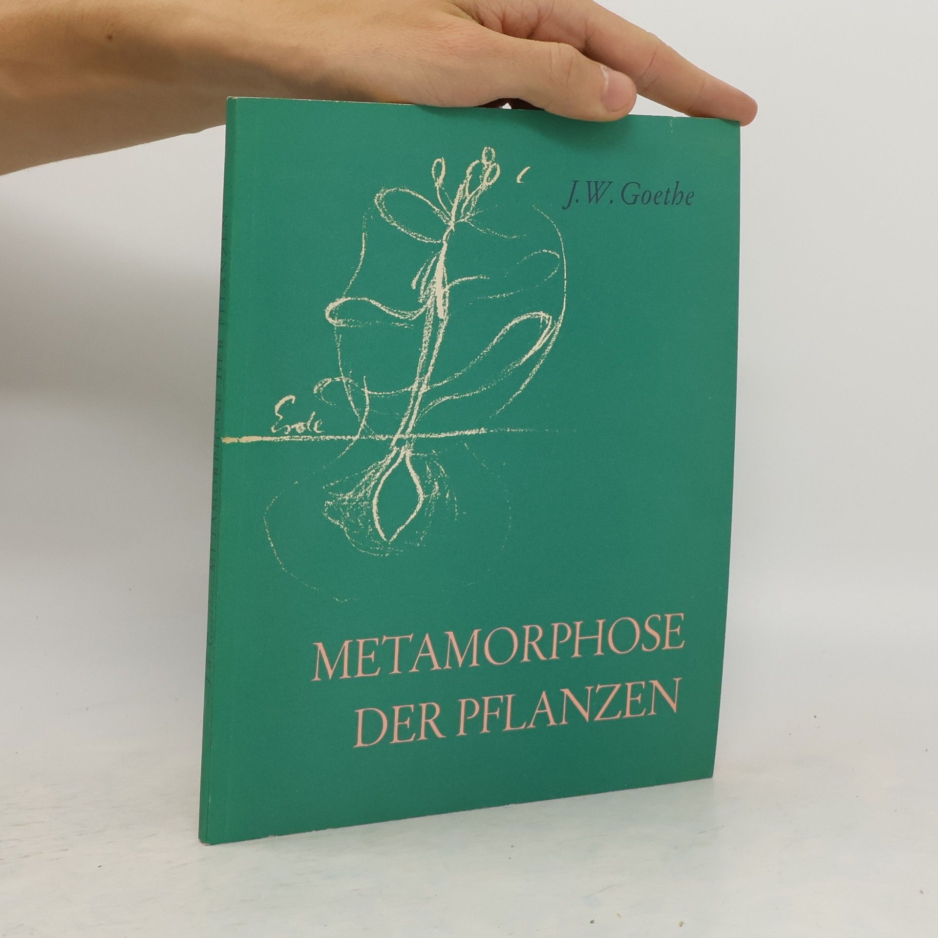 Johann Wolfgang von Goethe Die Metamorphose der Pflanzen