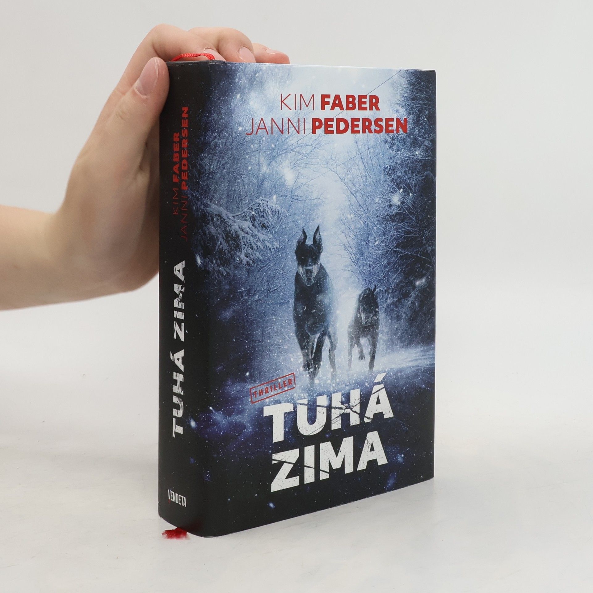 Kim Faber Tuhá zima