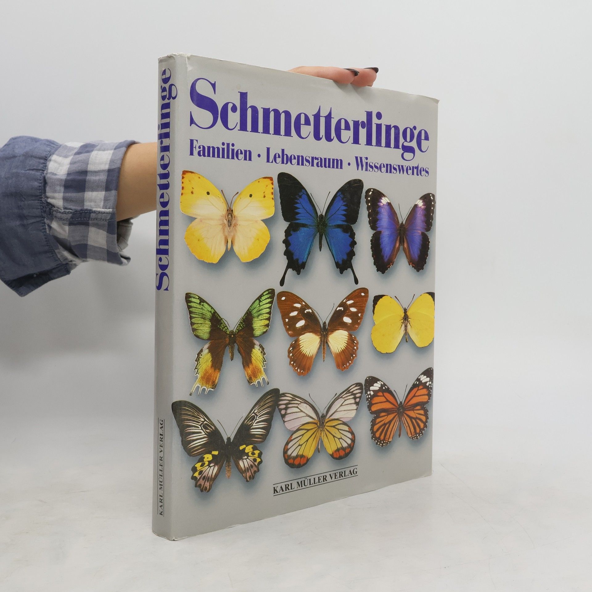 Alain Eid Schmetterlinge