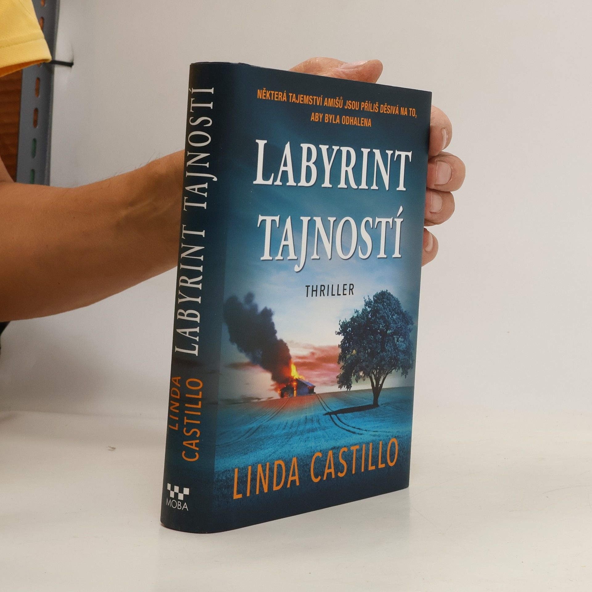 Linda Castillo Labyrint tajností