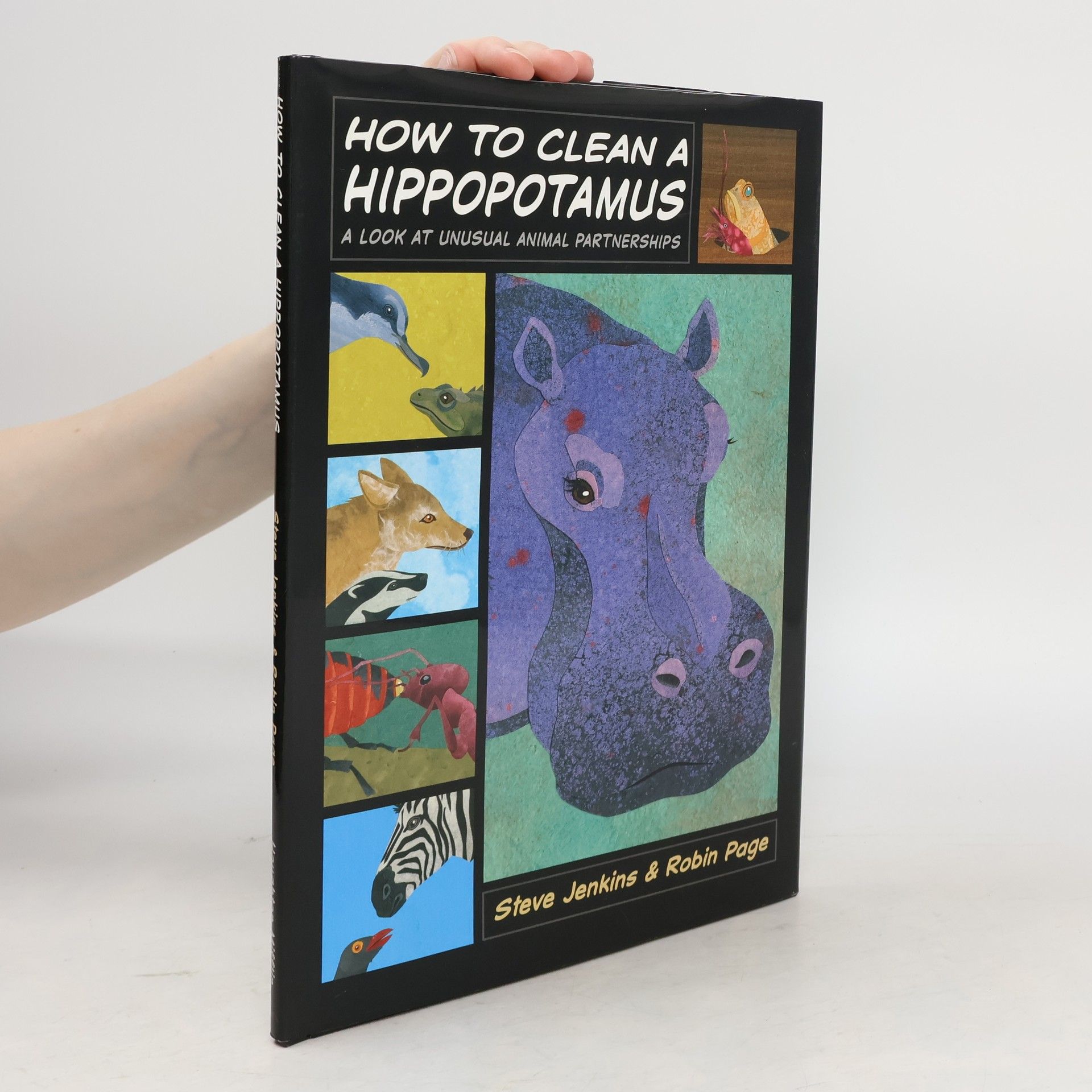 Robin Page How to Clean a Hippopotamus