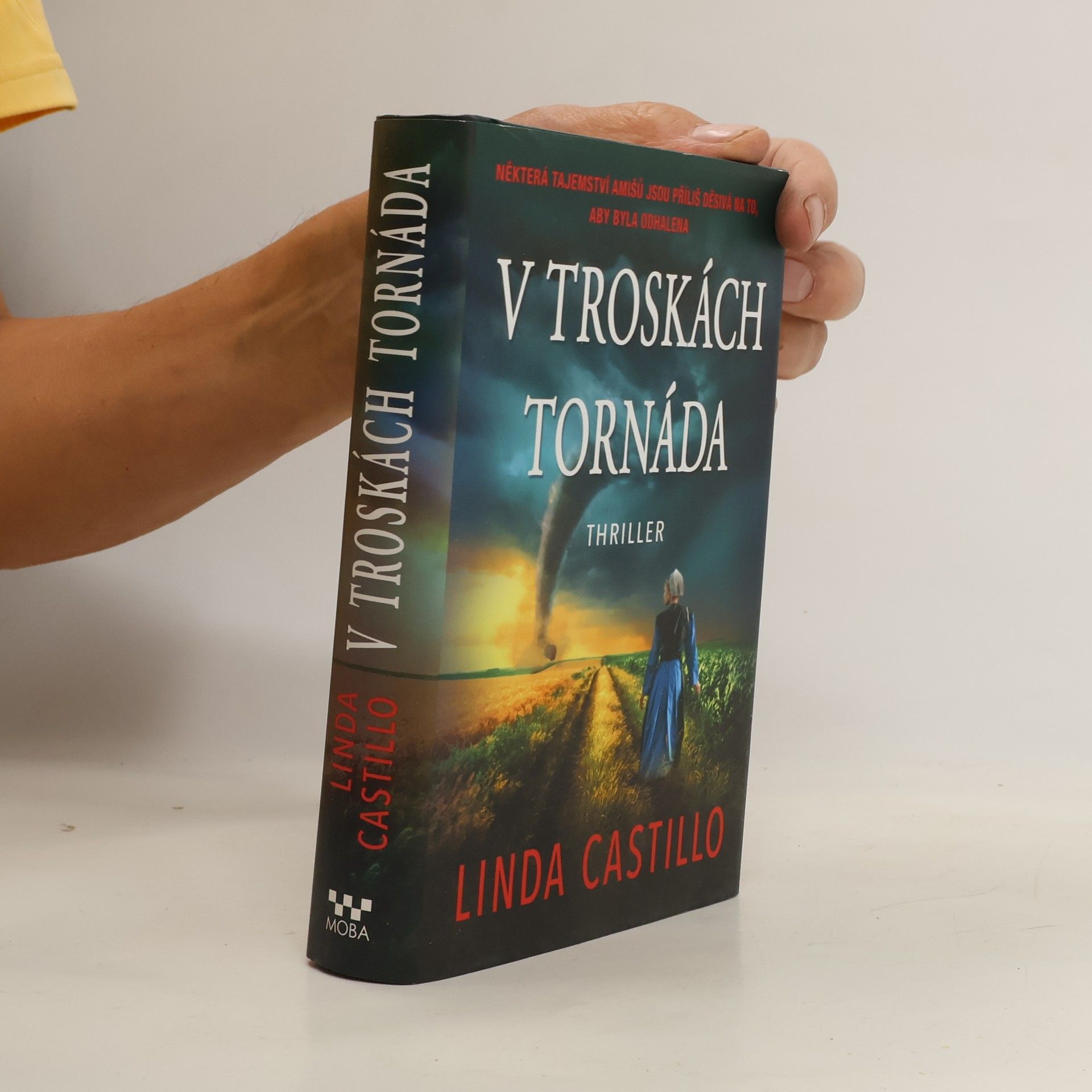 Linda Castillo V troskách tornáda