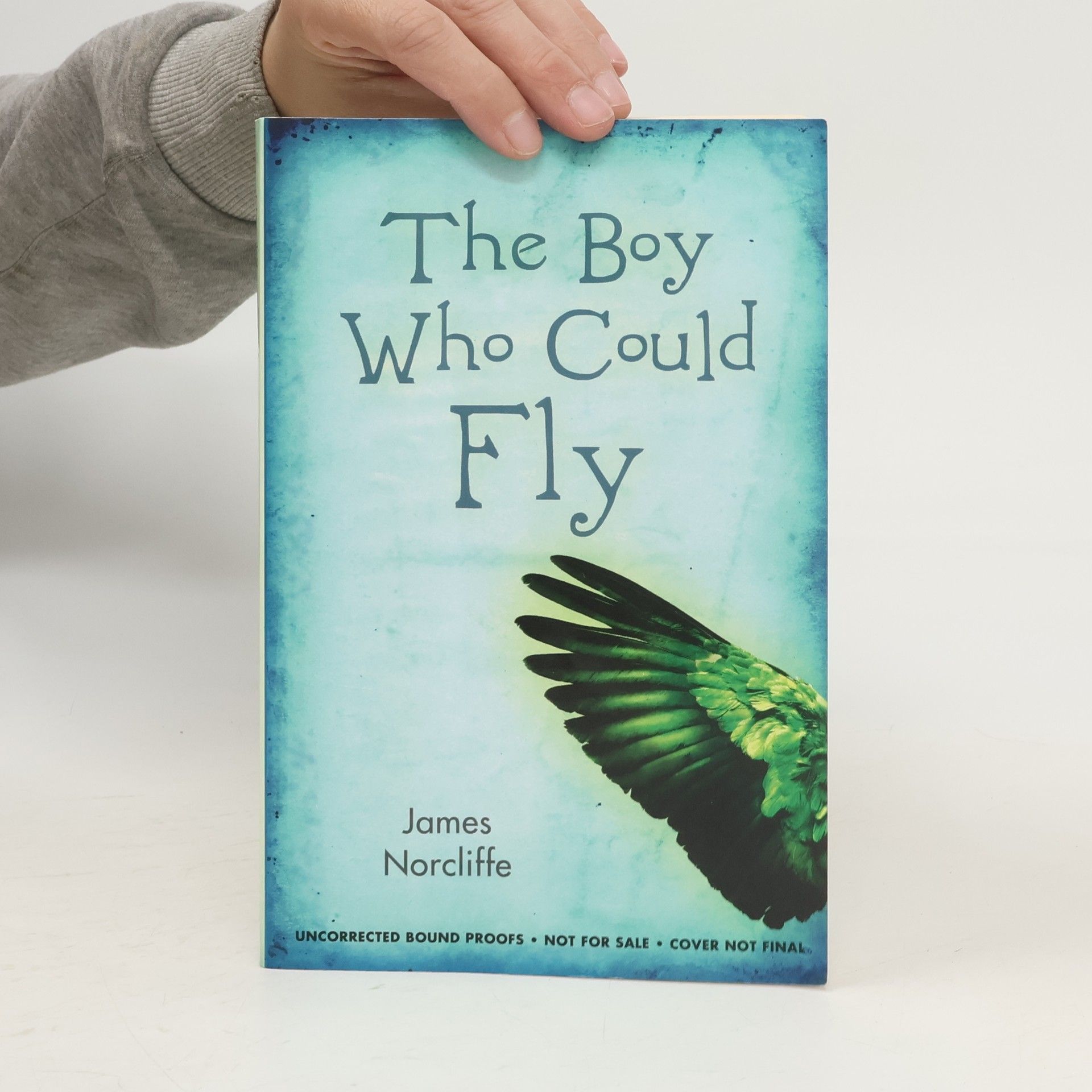 James Norcliffe The Boy who Could Fly