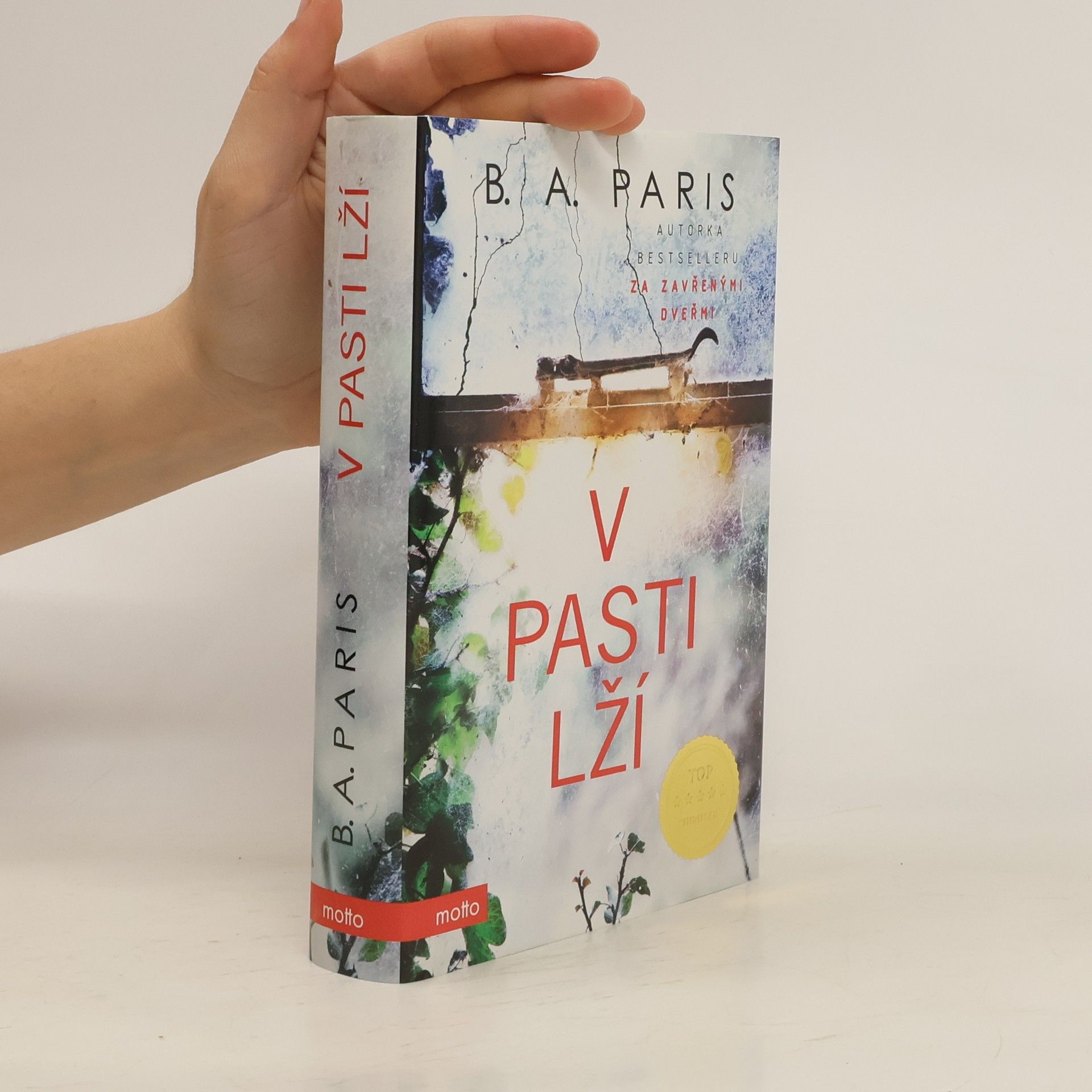 B.A. Paris V pasti lží