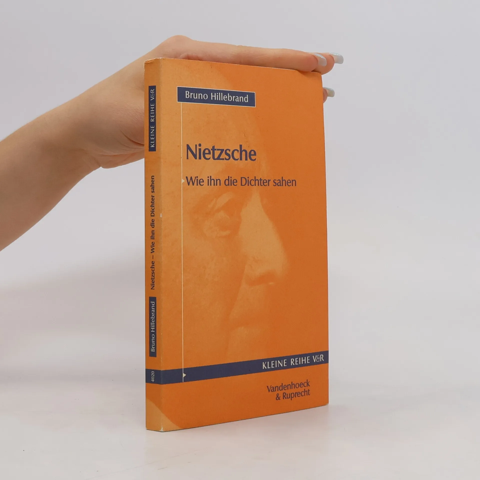 Nietzsche | Book | Bruno Hillebrand | DE
