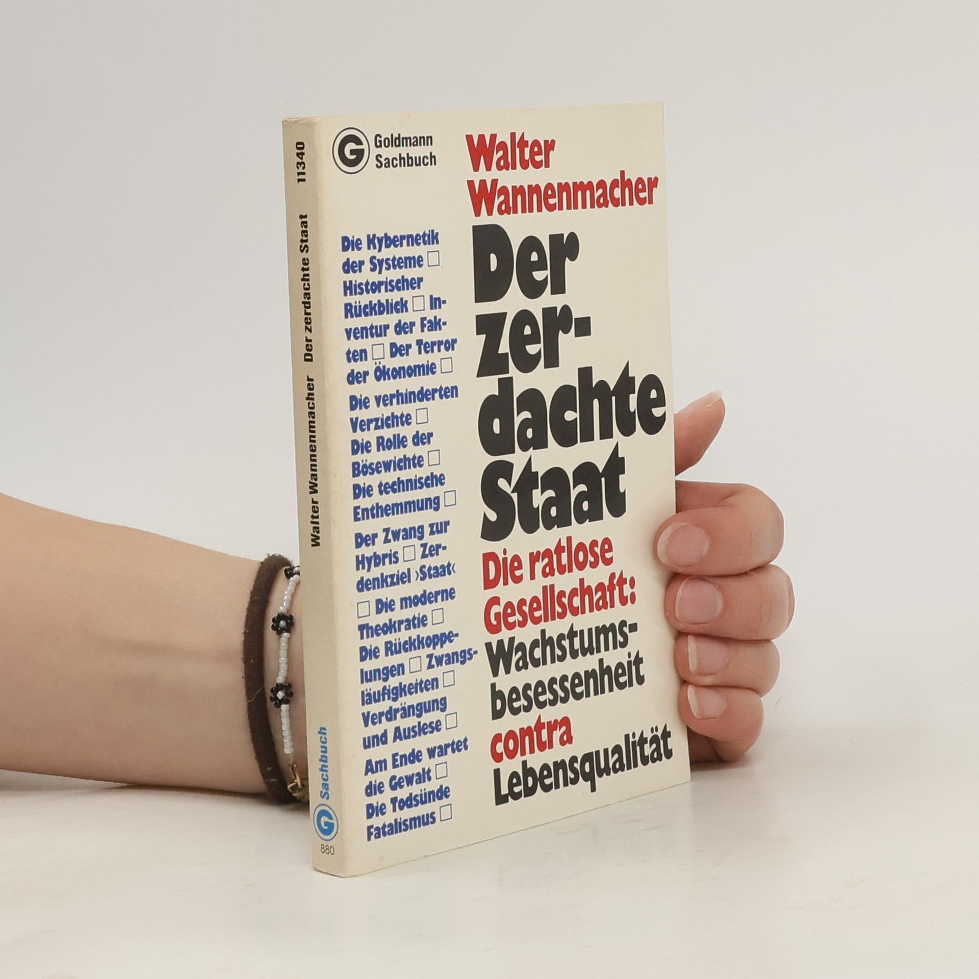 Walter Wannenmacher Der zerdachte Staat