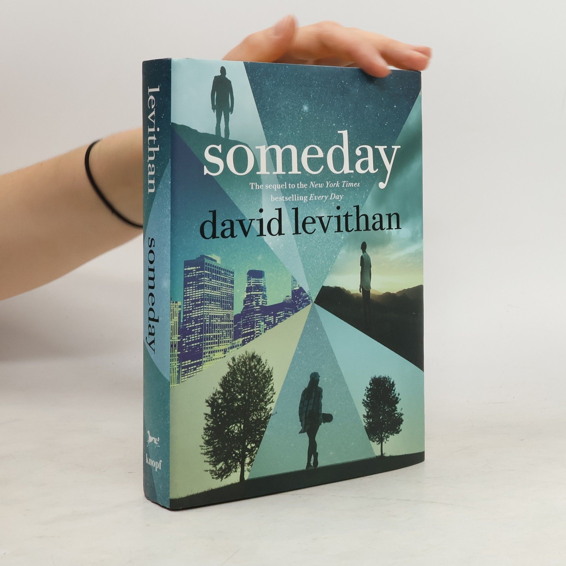 David Levithan Someday