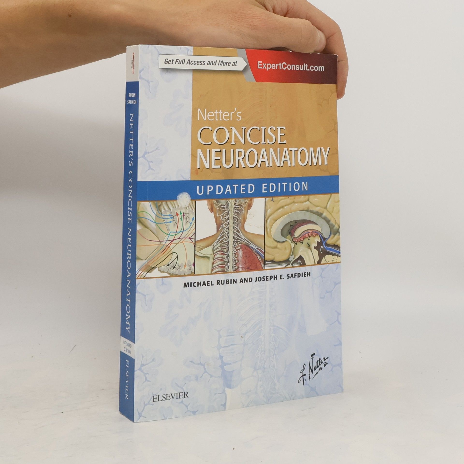 Michael Rubin Netter's Concise Neuroanatomy