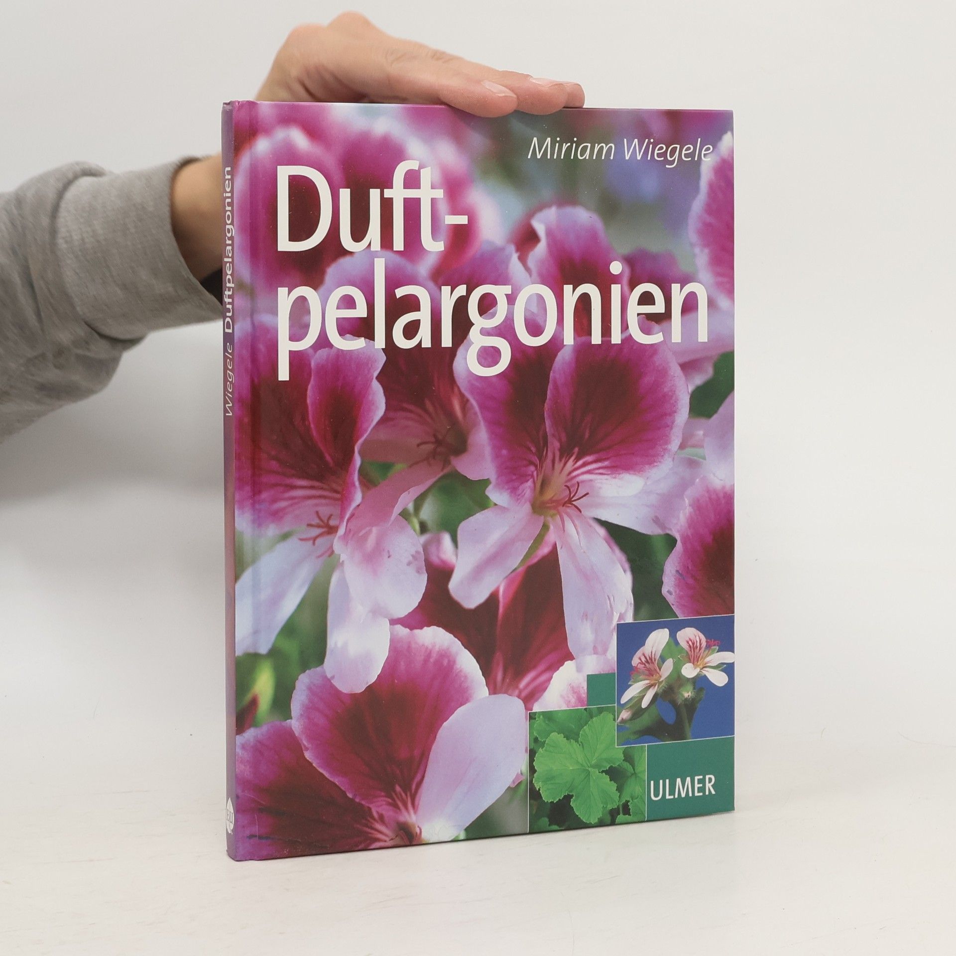 Miriam Wiegele Duftpelargonien. Anbau, Pflege, Sorten