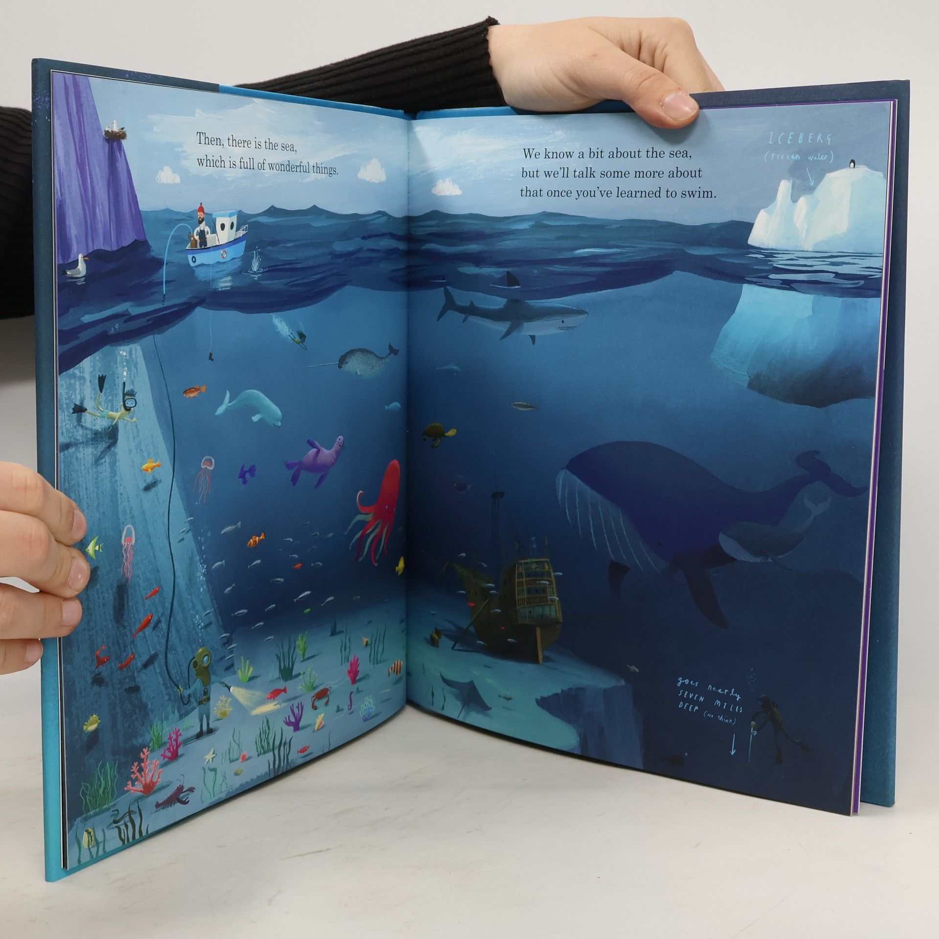 Oliver Jeffers Here We Are: Notes for Living on Planet Earth