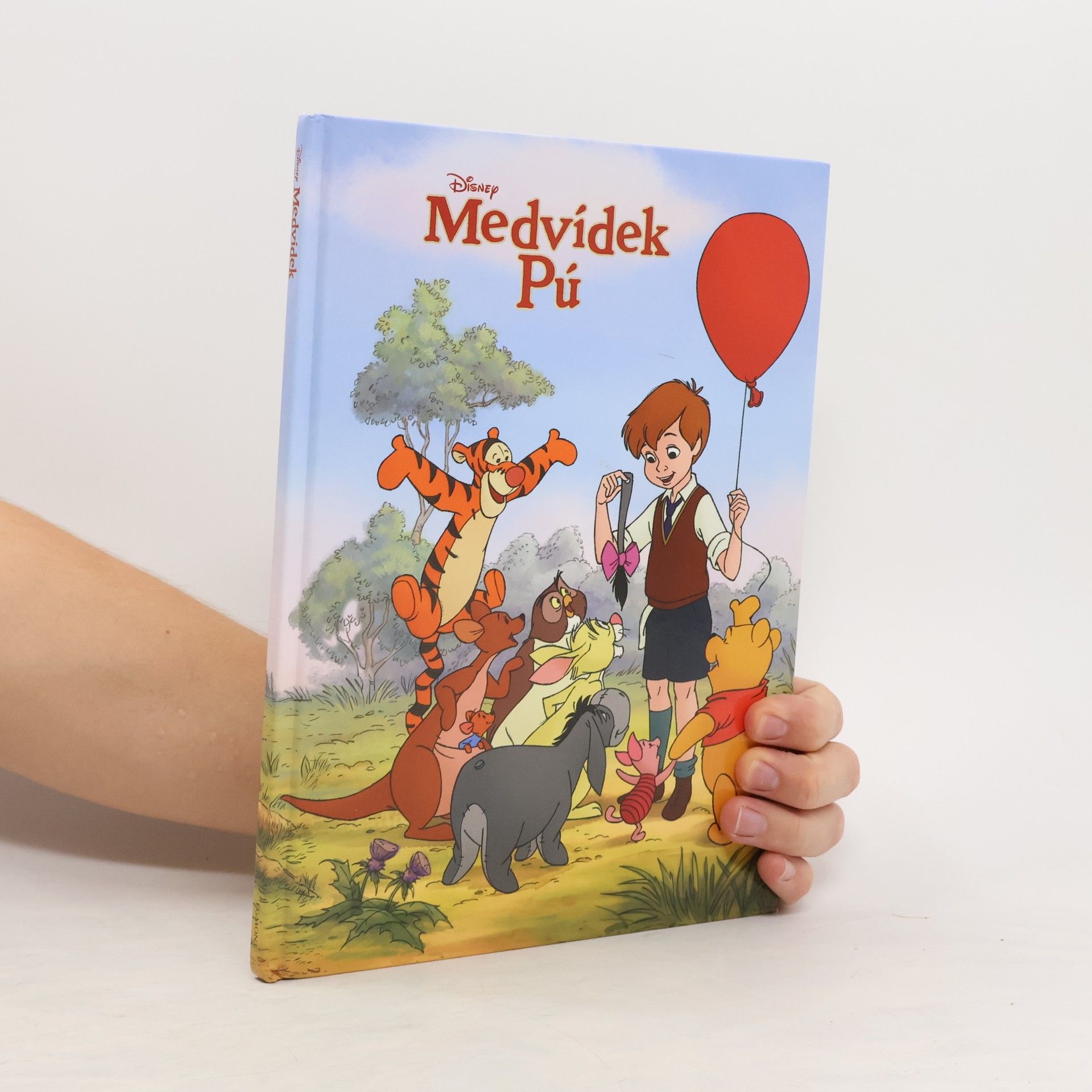 kolektiv Medvídek Pú