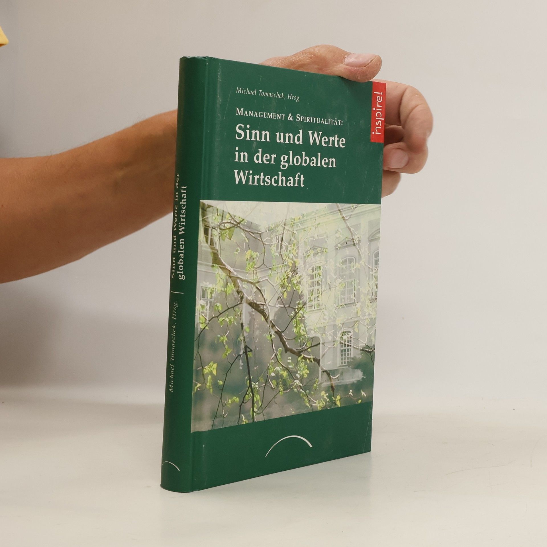 Michael Tomaschek Management & Spiritualität: Sinn und Werte in der globalen Wirtschaft