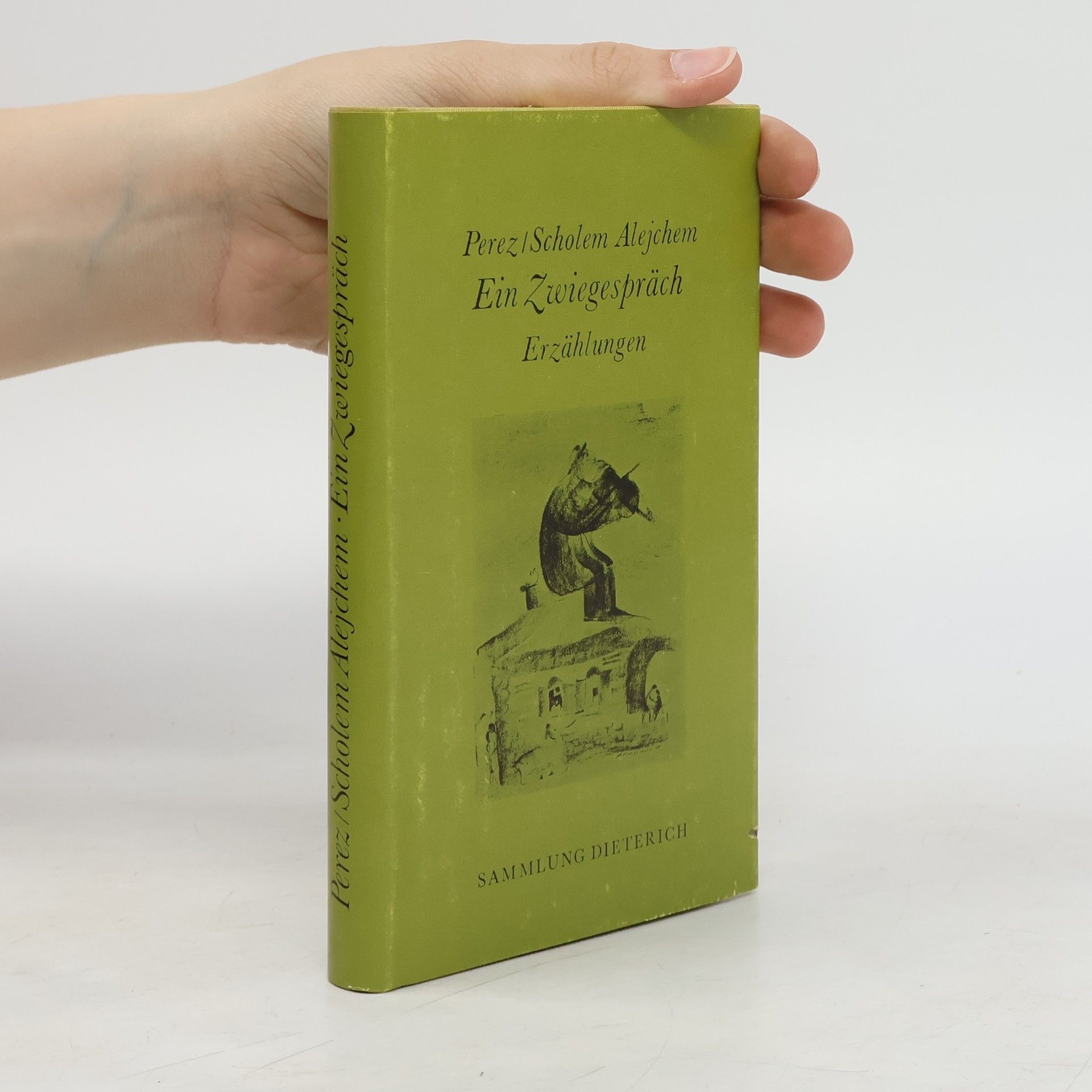 Sholem Aleichem Ein Zwiegespräch. Erzählungen