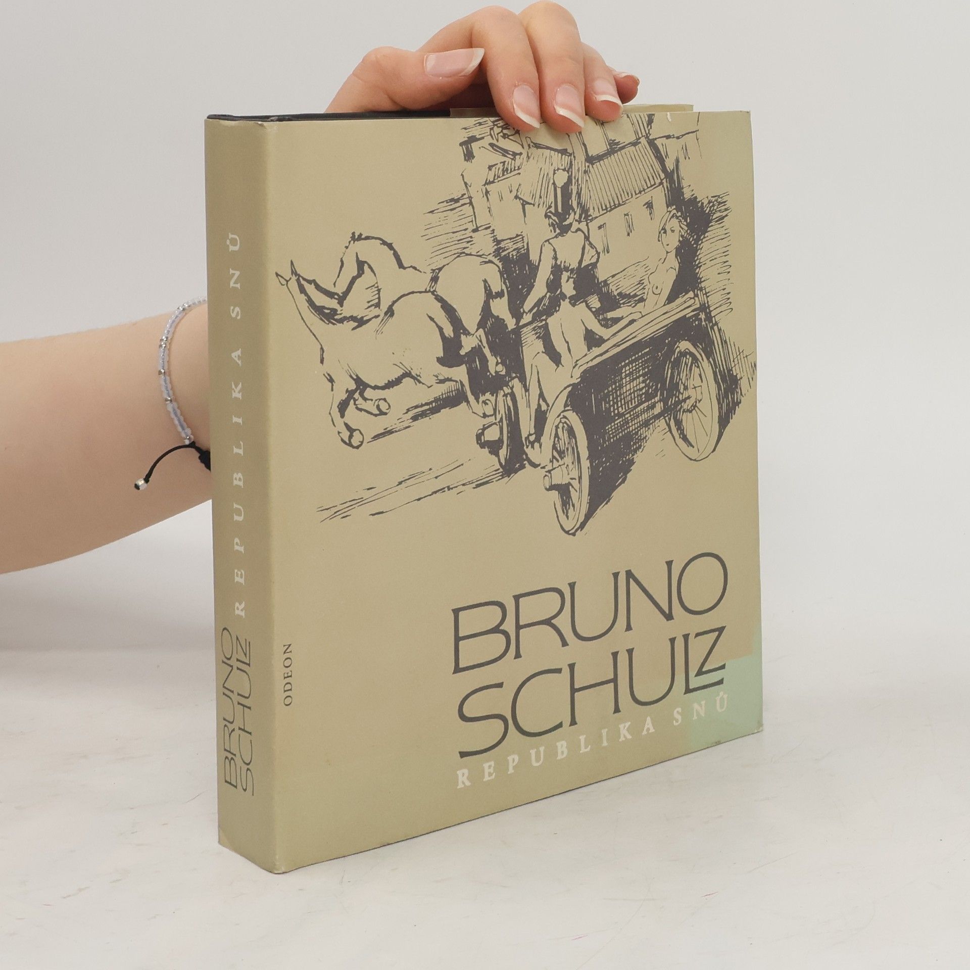 Bruno Schulz Republika snů