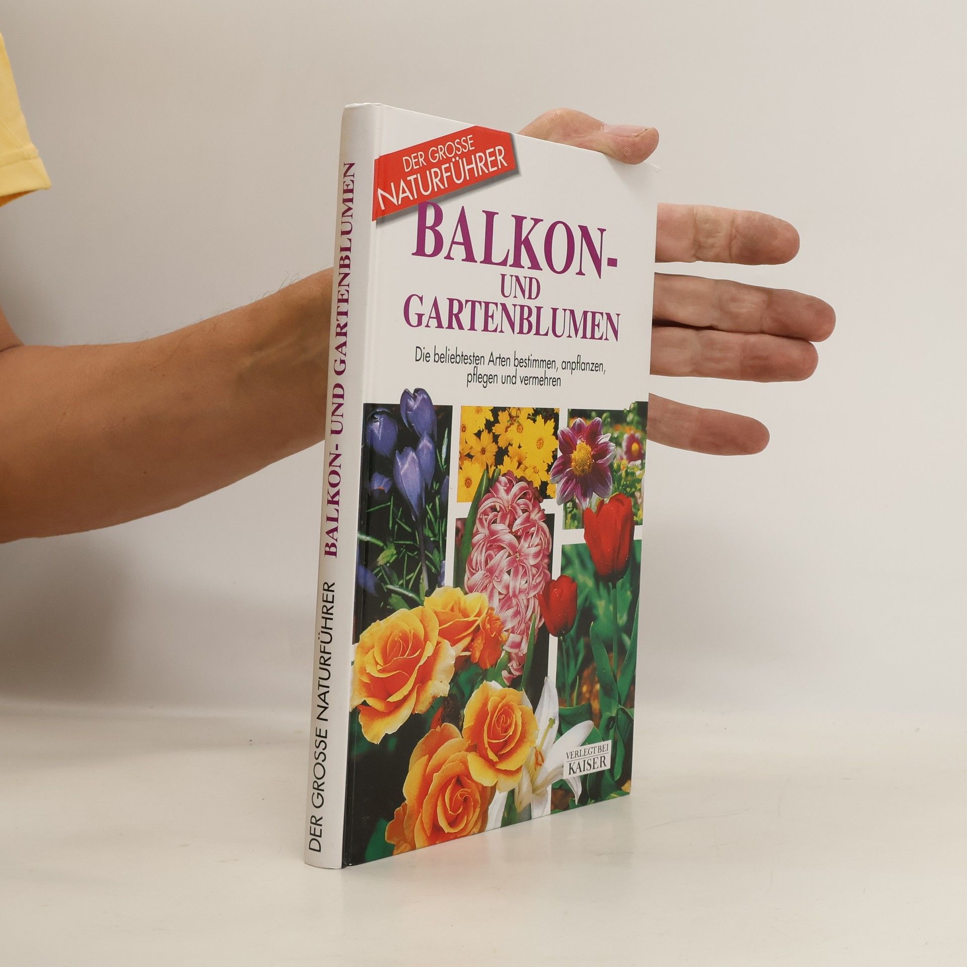 Maria Teresa Della Beffa Balkon- und Gartenblumen