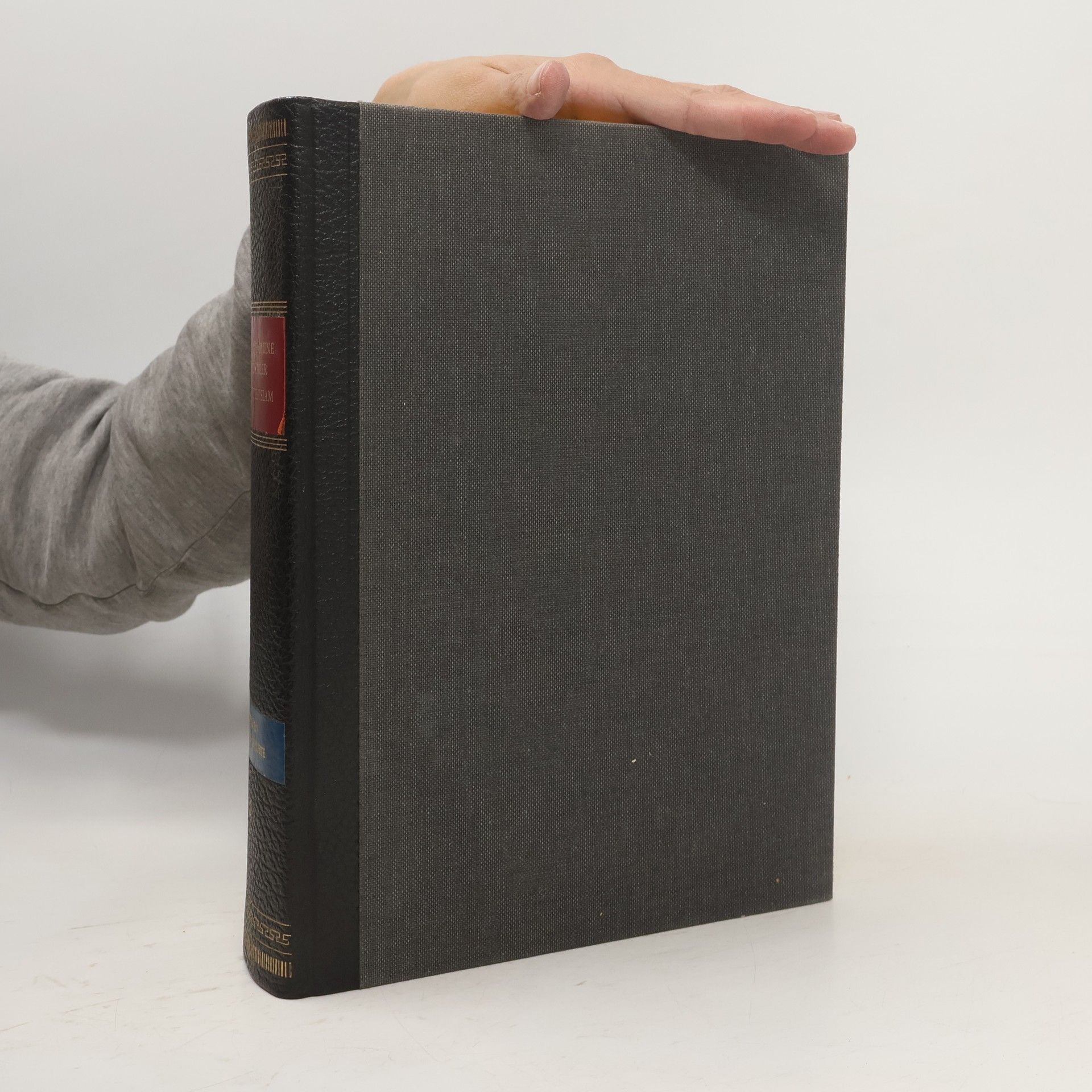 J. Sourdel-Thomine Propyläen Kunstgeschichte 4. Die Kunst des Islam