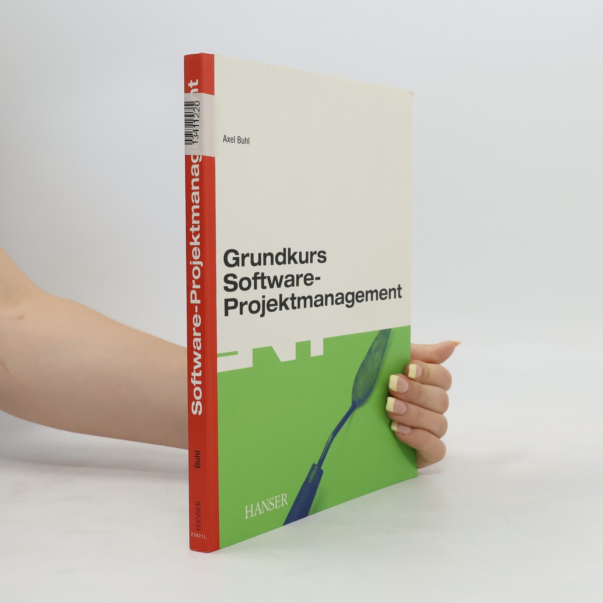 Axel Buhl Grundkurs Software-Projektmanagement