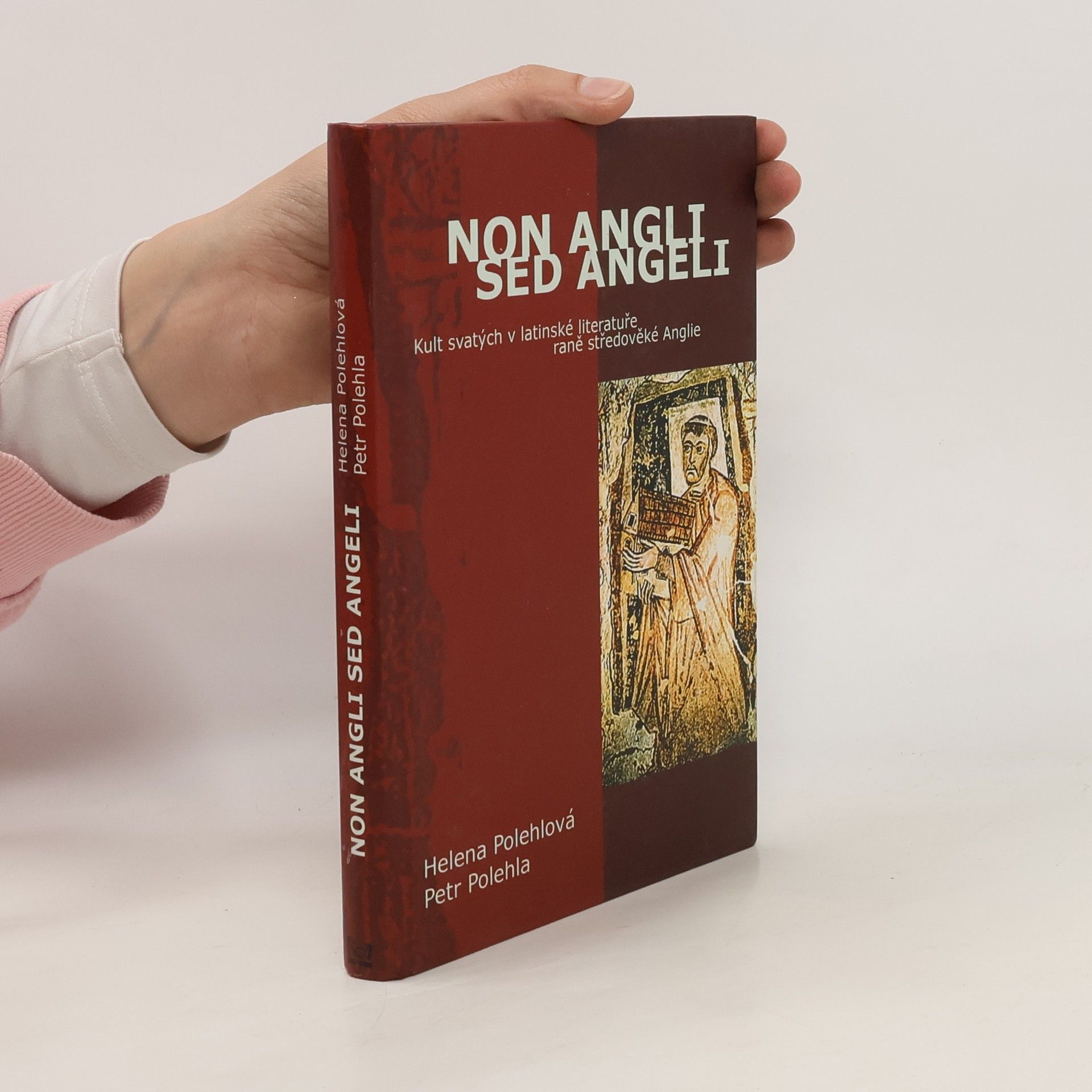 Petr Polehla Non Angli sed Angeli