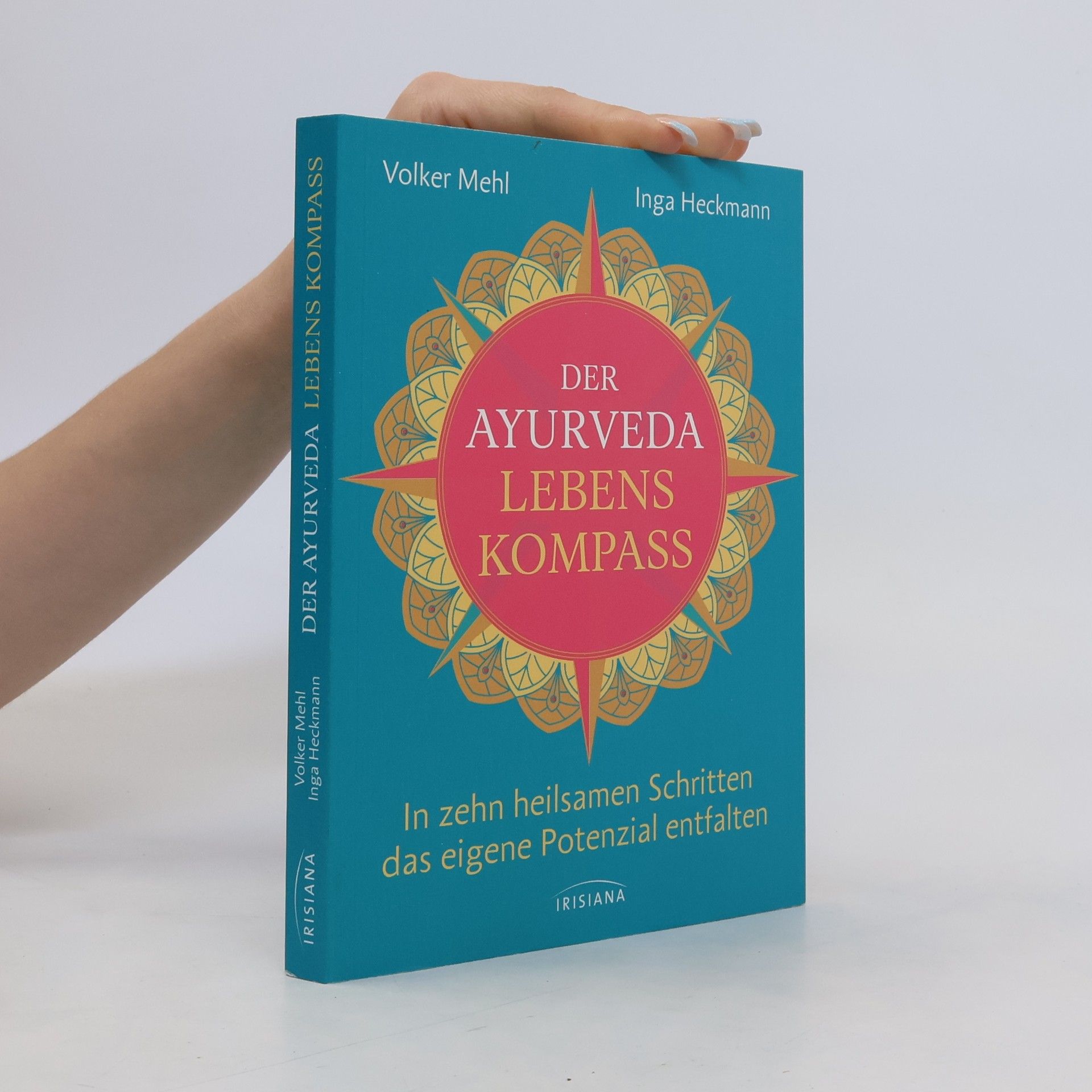 Volker Mehl Der Ayurveda-Lebenskompass