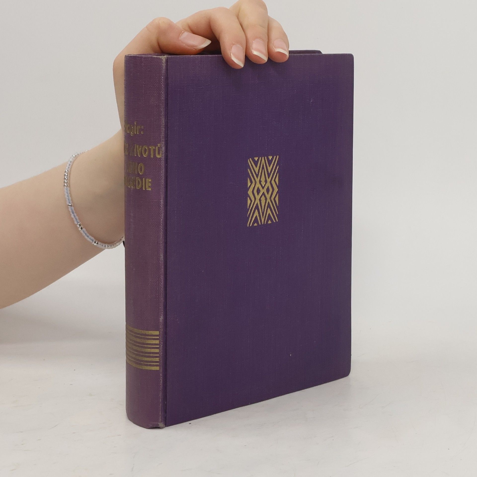 Kolektiv autorů Řetěz životů a jeho tragedie