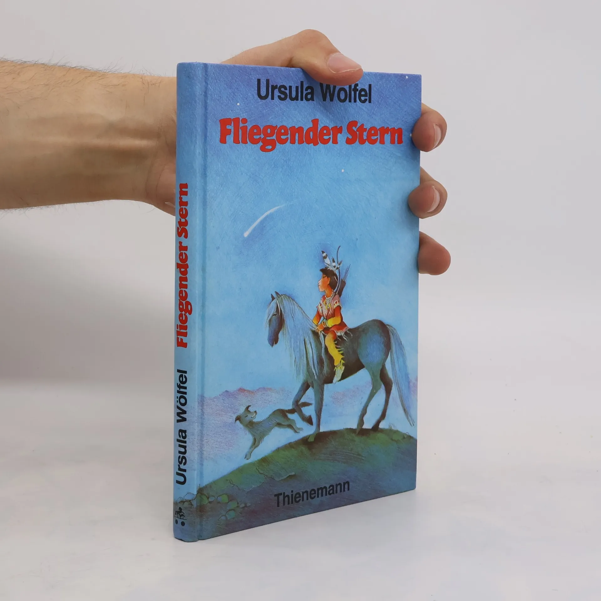 Fliegender Stern | Buch | Ursula Wölfel