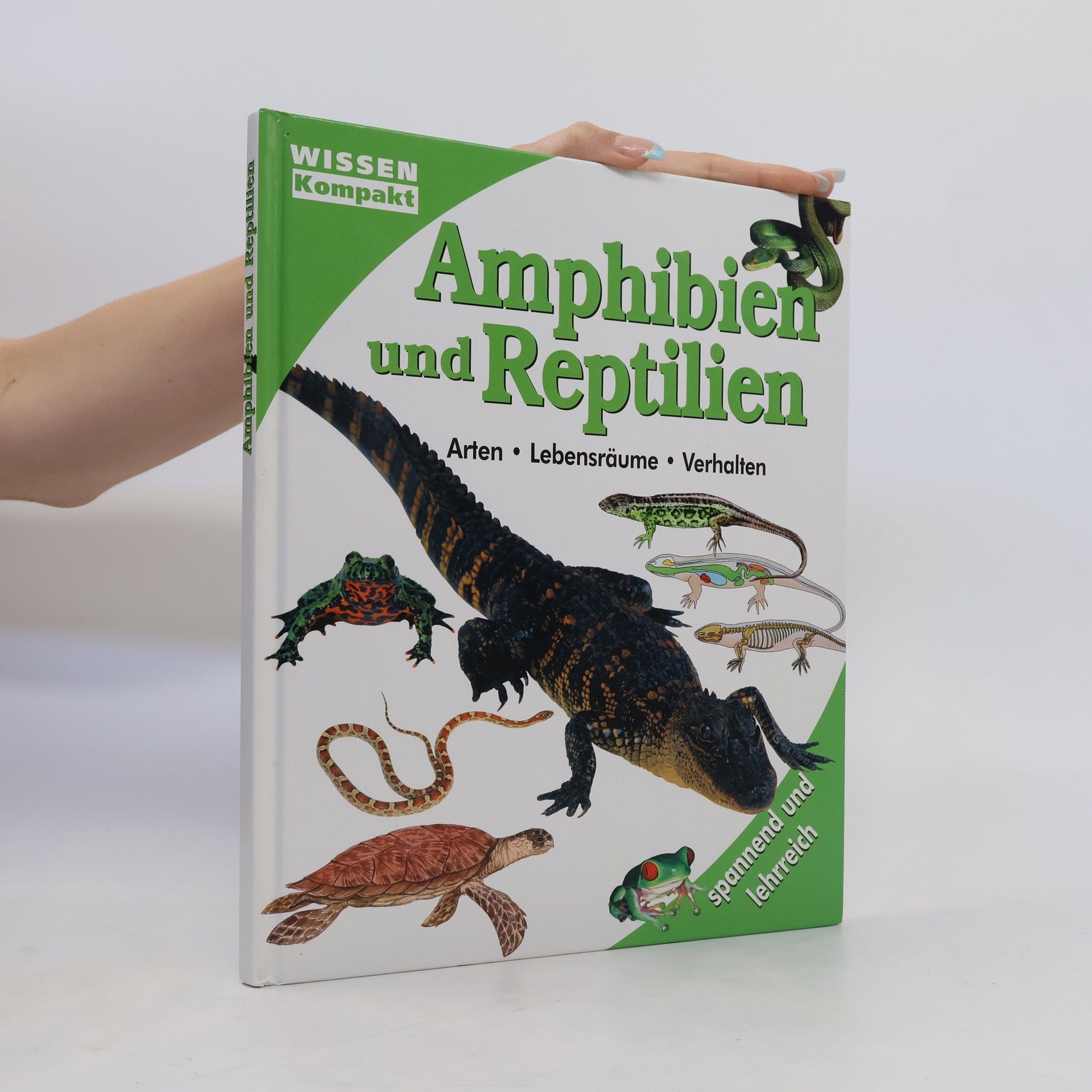 kolektiv Die Amphibien & Reptilien