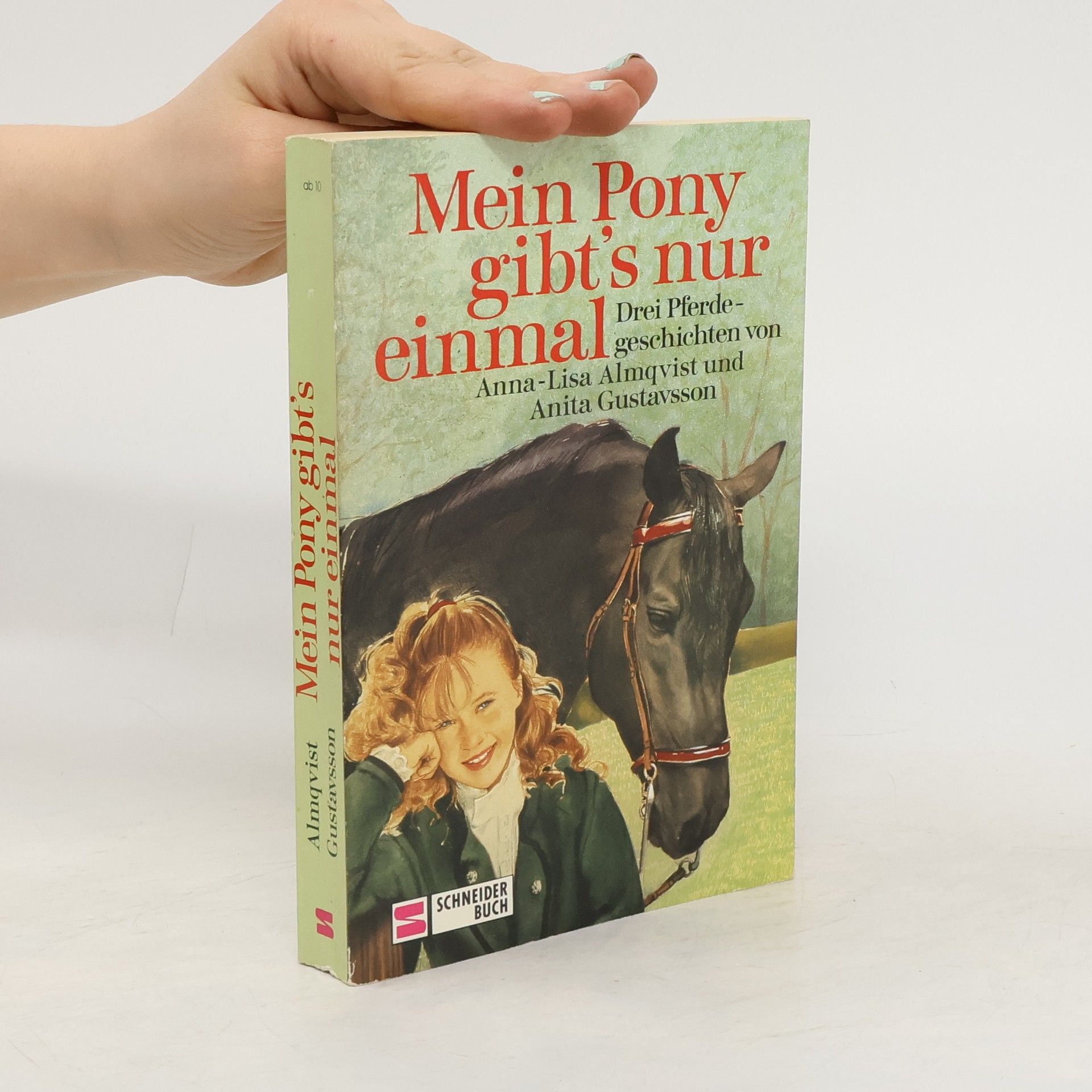 Anita Gustavsson Mein Pony gibt's nur einmal