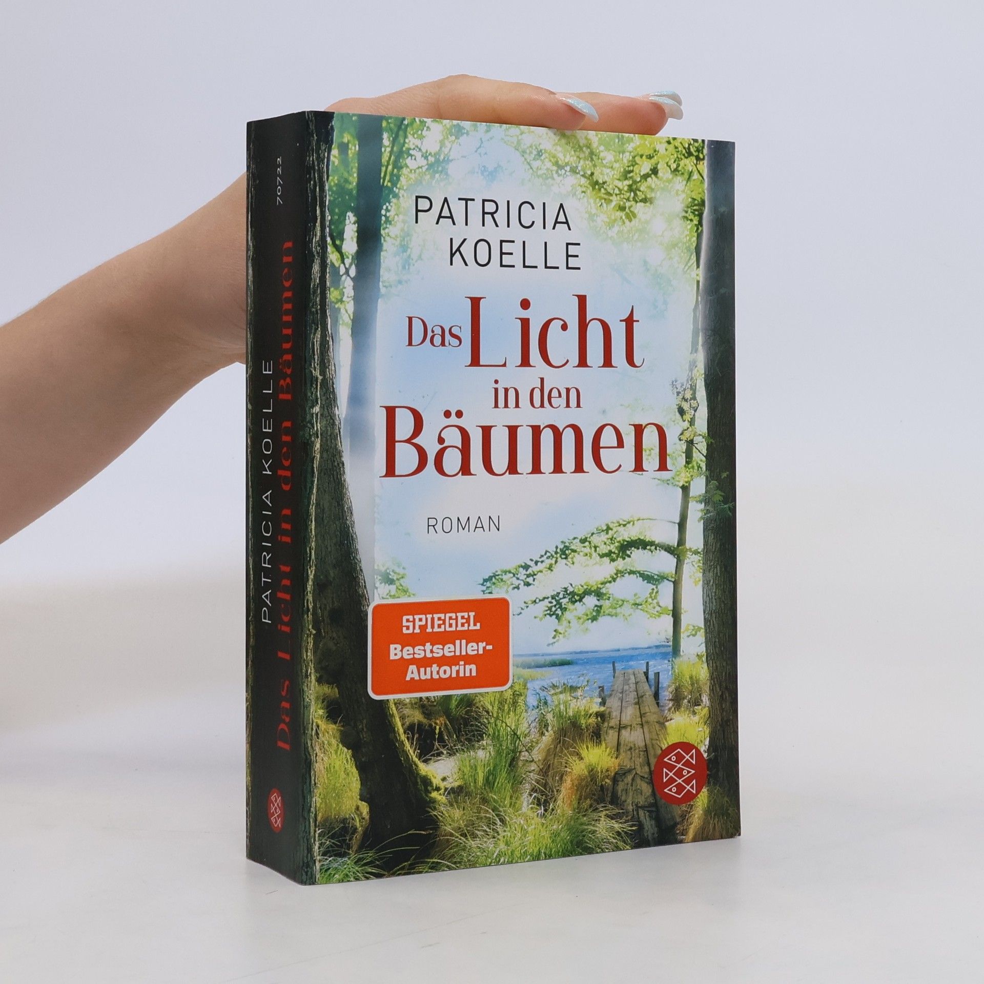 Patricia Koelle Das Licht in den Bäumen