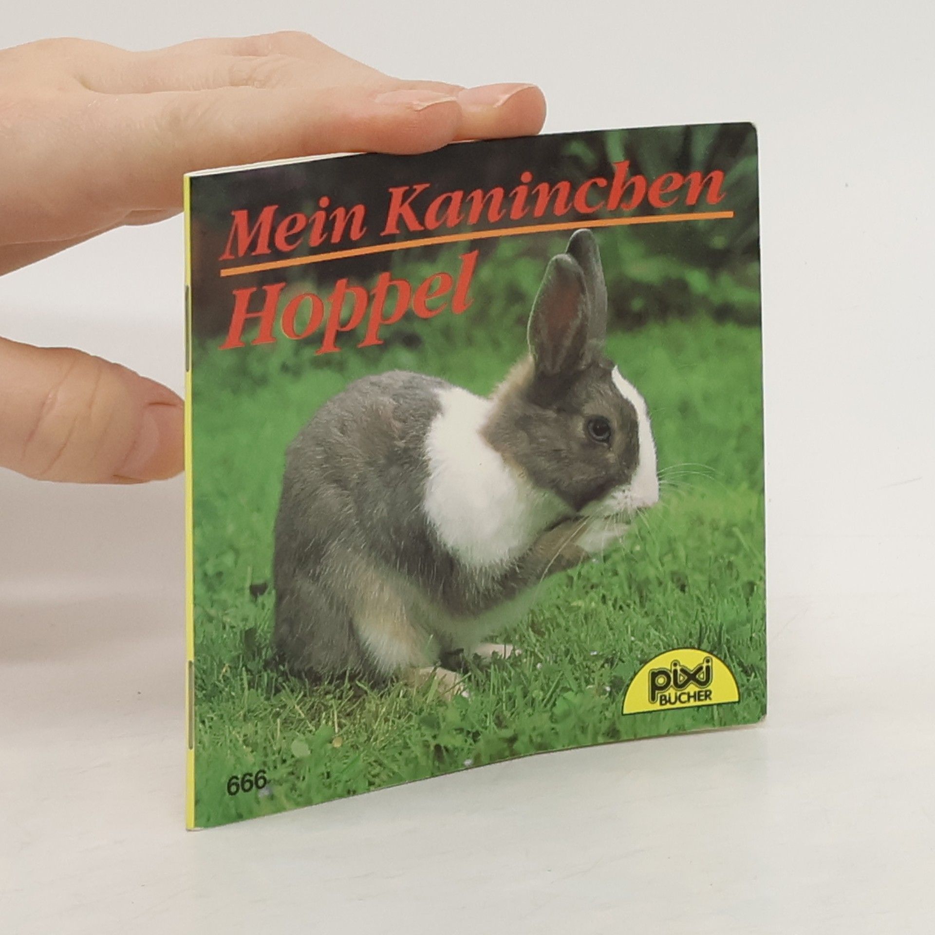 Andreas Fischer Tiere in unserem Garten