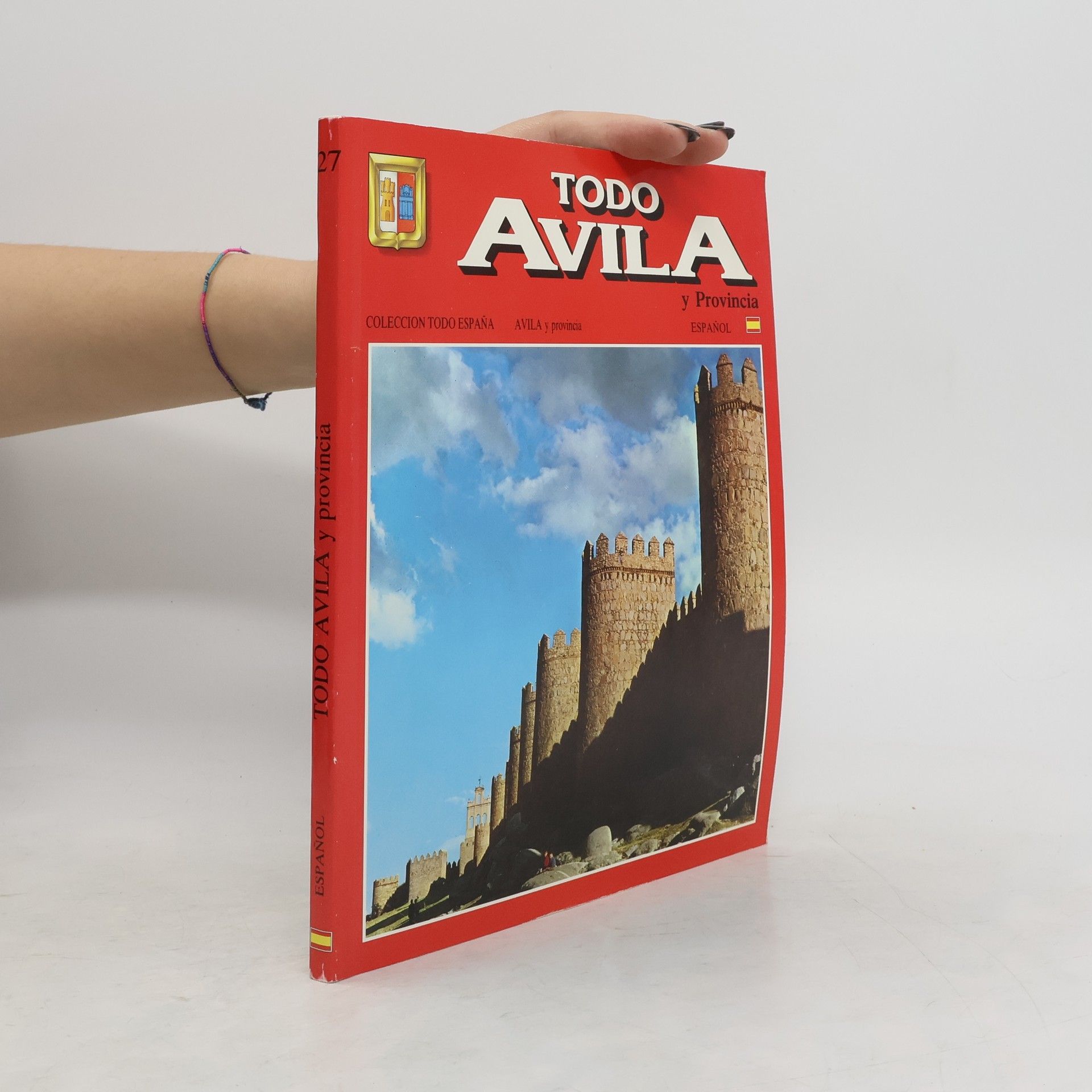 Collectif d'auteurs Todo Avila y Provincia