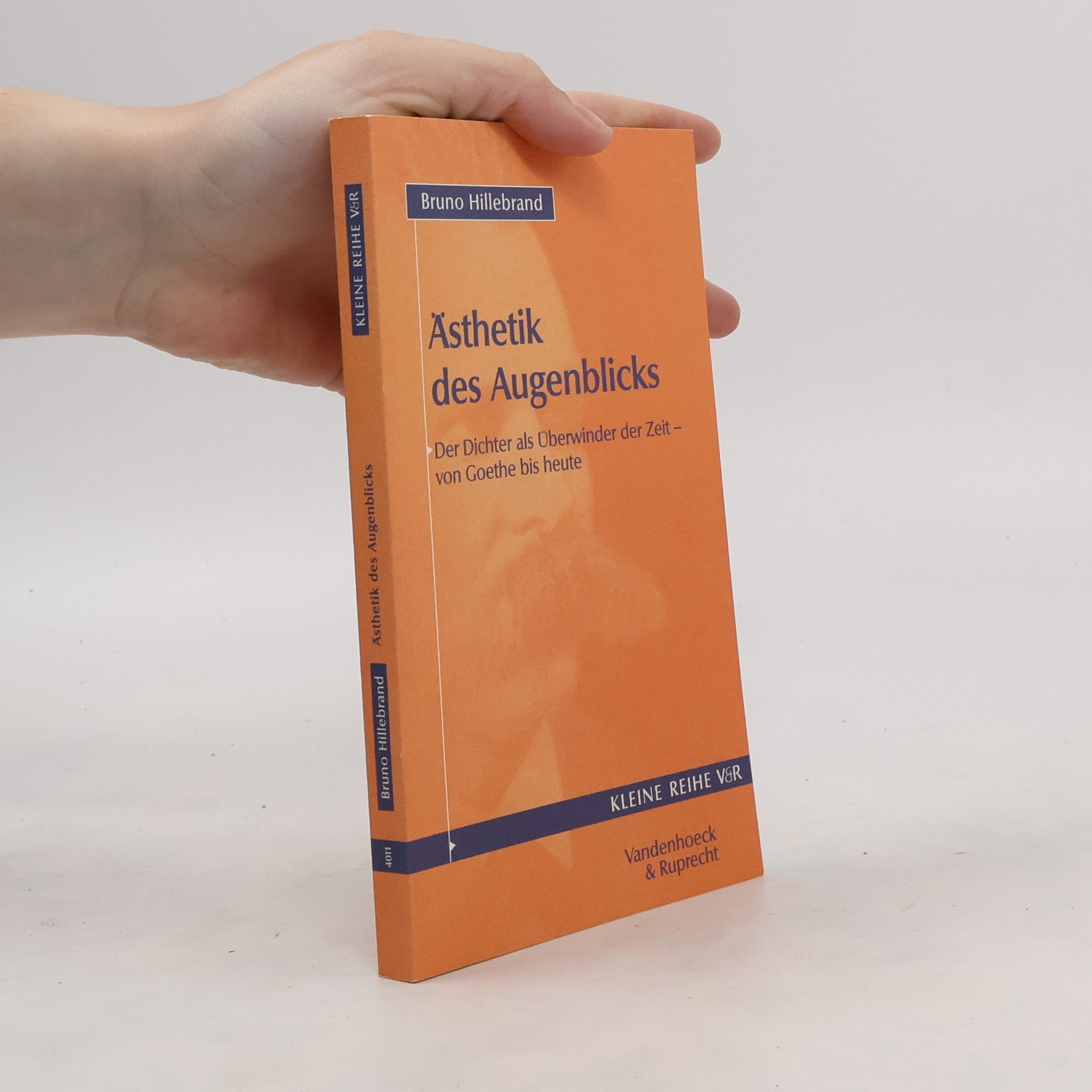 Bruno Hillebrand Ästhetik des Augenblicks
