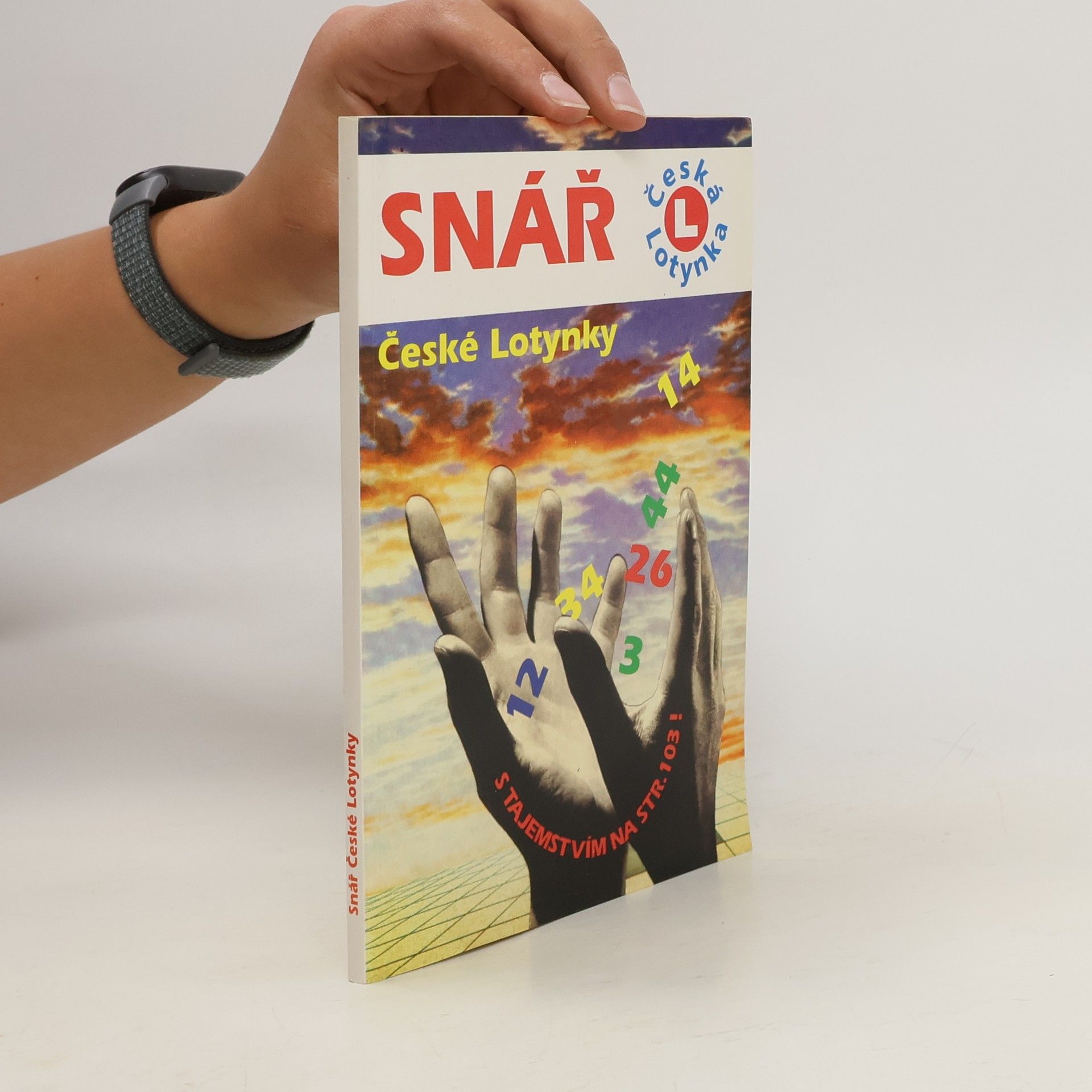 Autorenkollektiv Snář České Lotynky